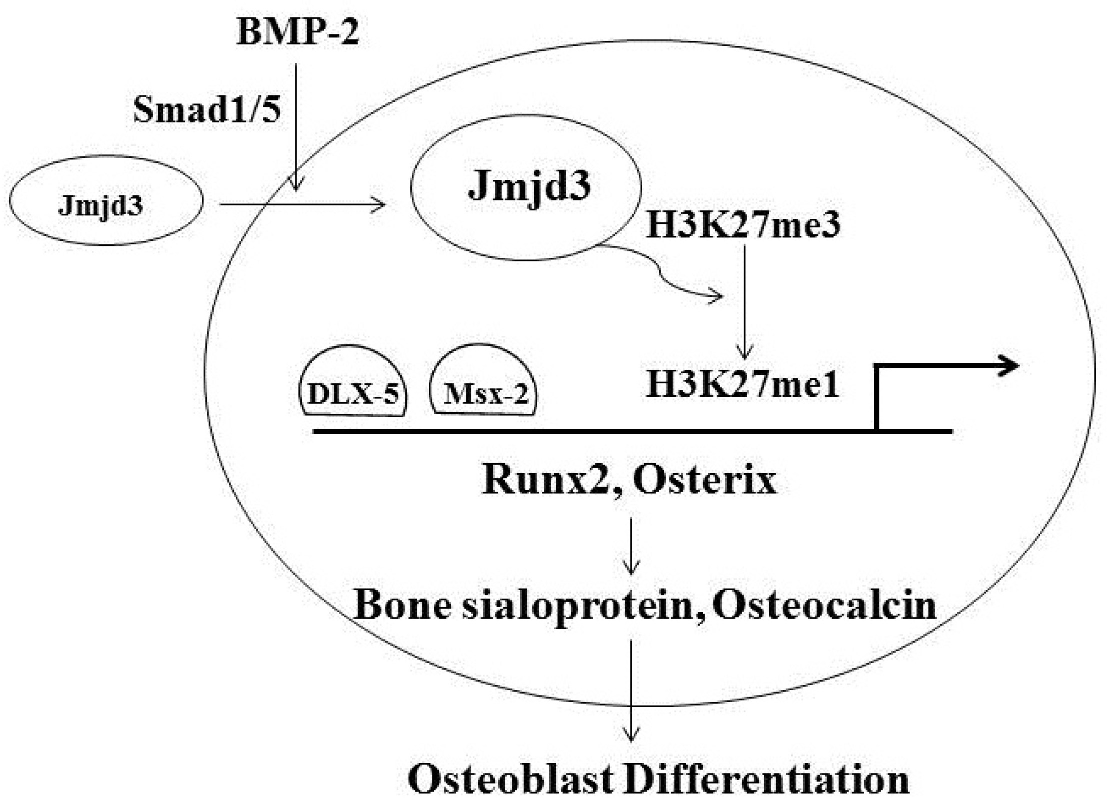 Jcm 06 00024 g001