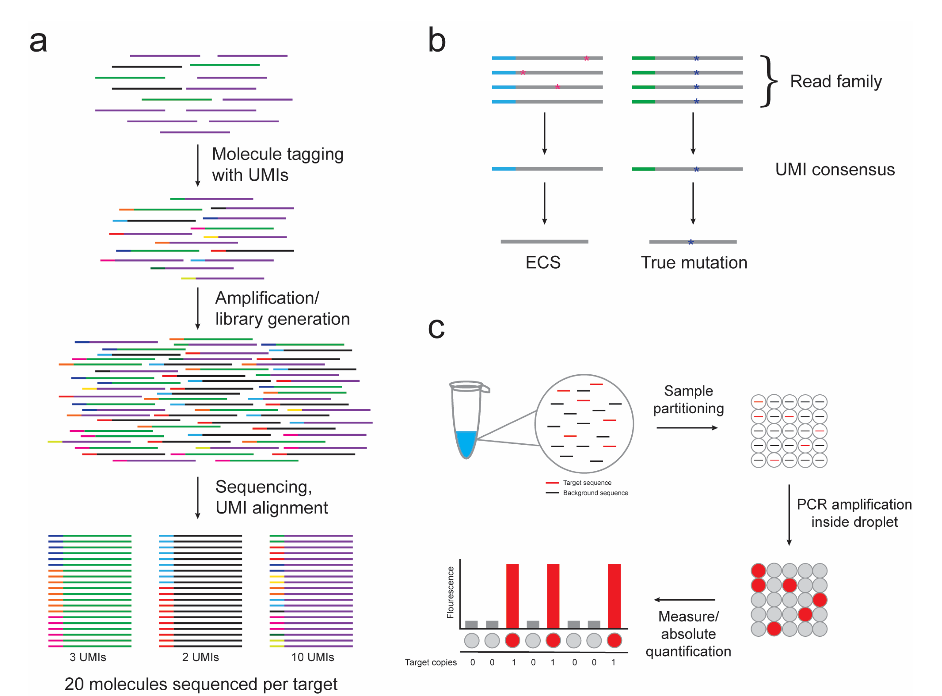 Jcm 06 00087 g001 Jcm 06 00087 g001