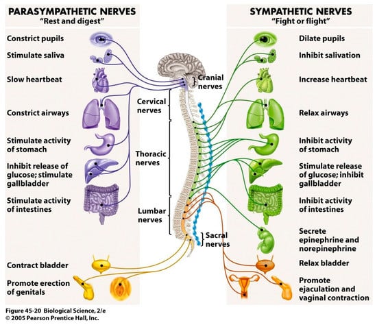 Jcm 06 00109 g0a1 550