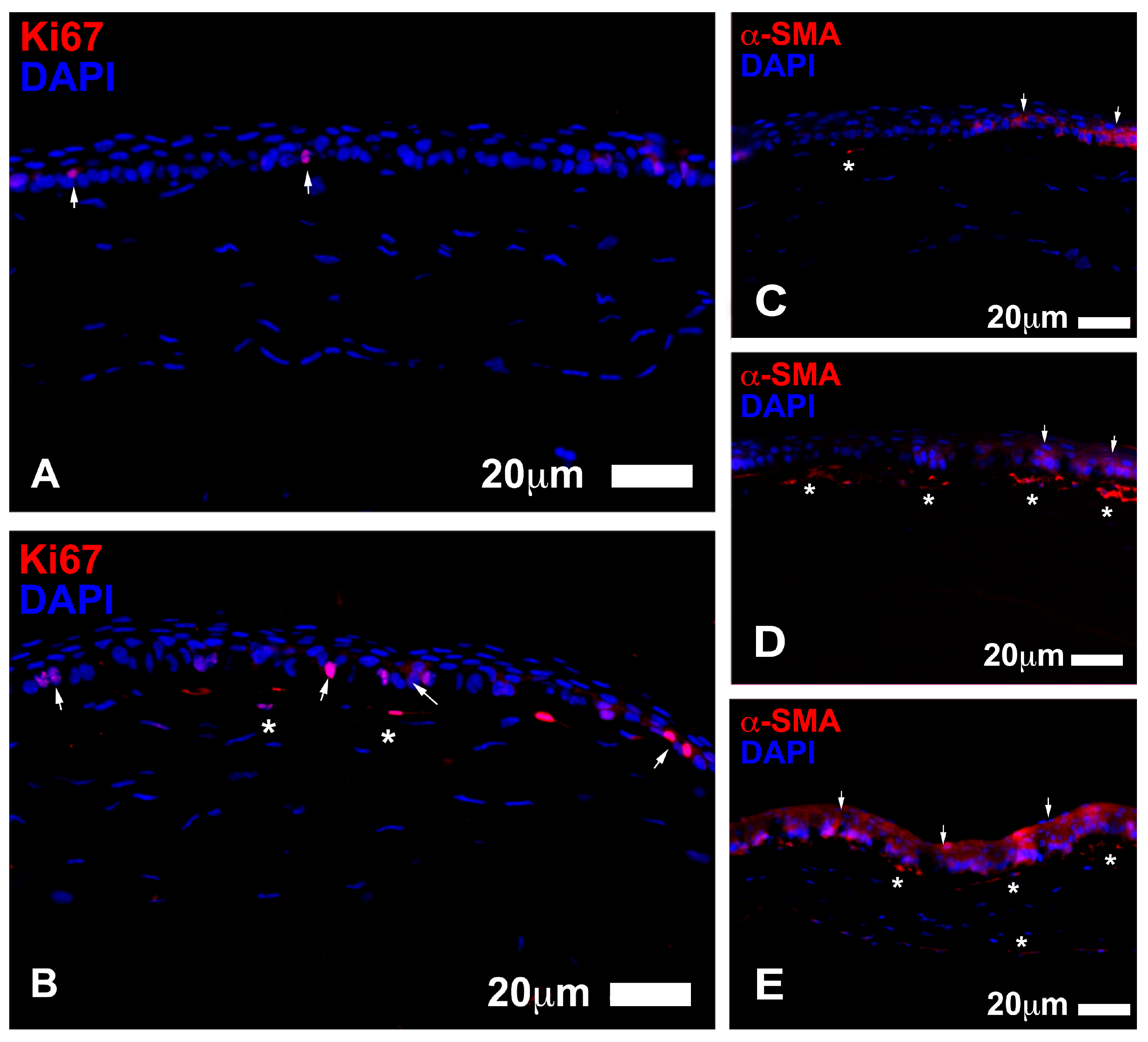 Jcm 06 00115 g007 Jcm 06 00115 g007