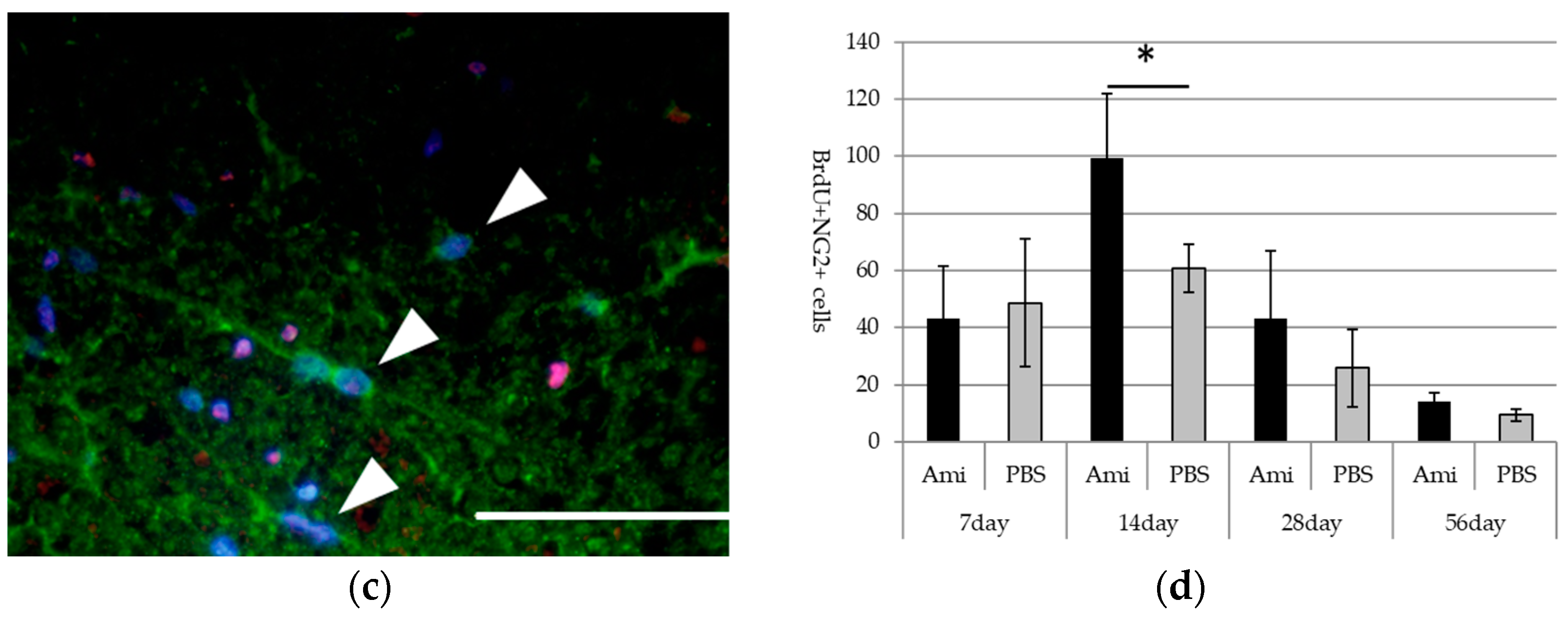 Jcm 07 00046 g003b Jcm 07 00046 g003b