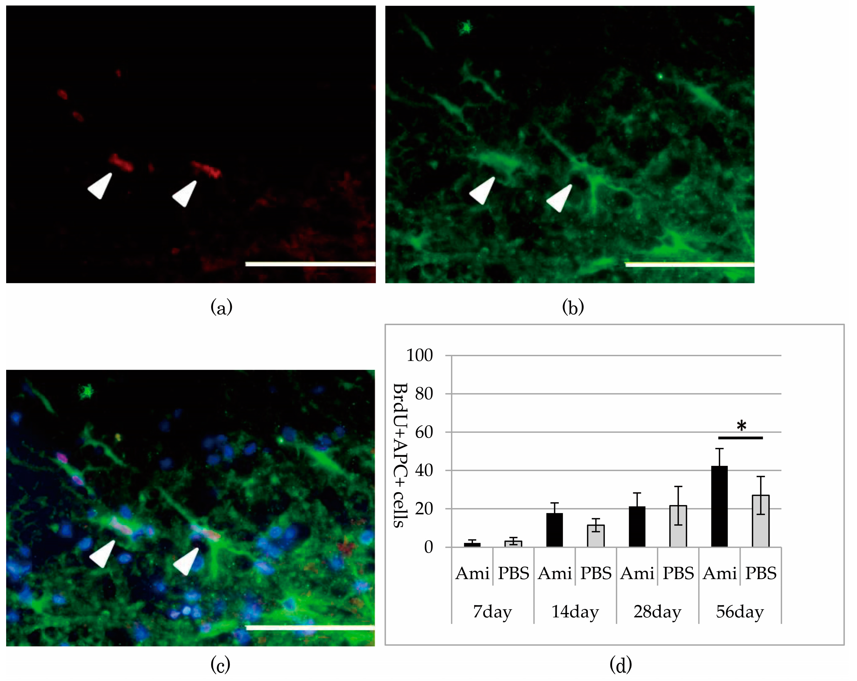 Jcm 07 00046 g004 Jcm 07 00046 g004