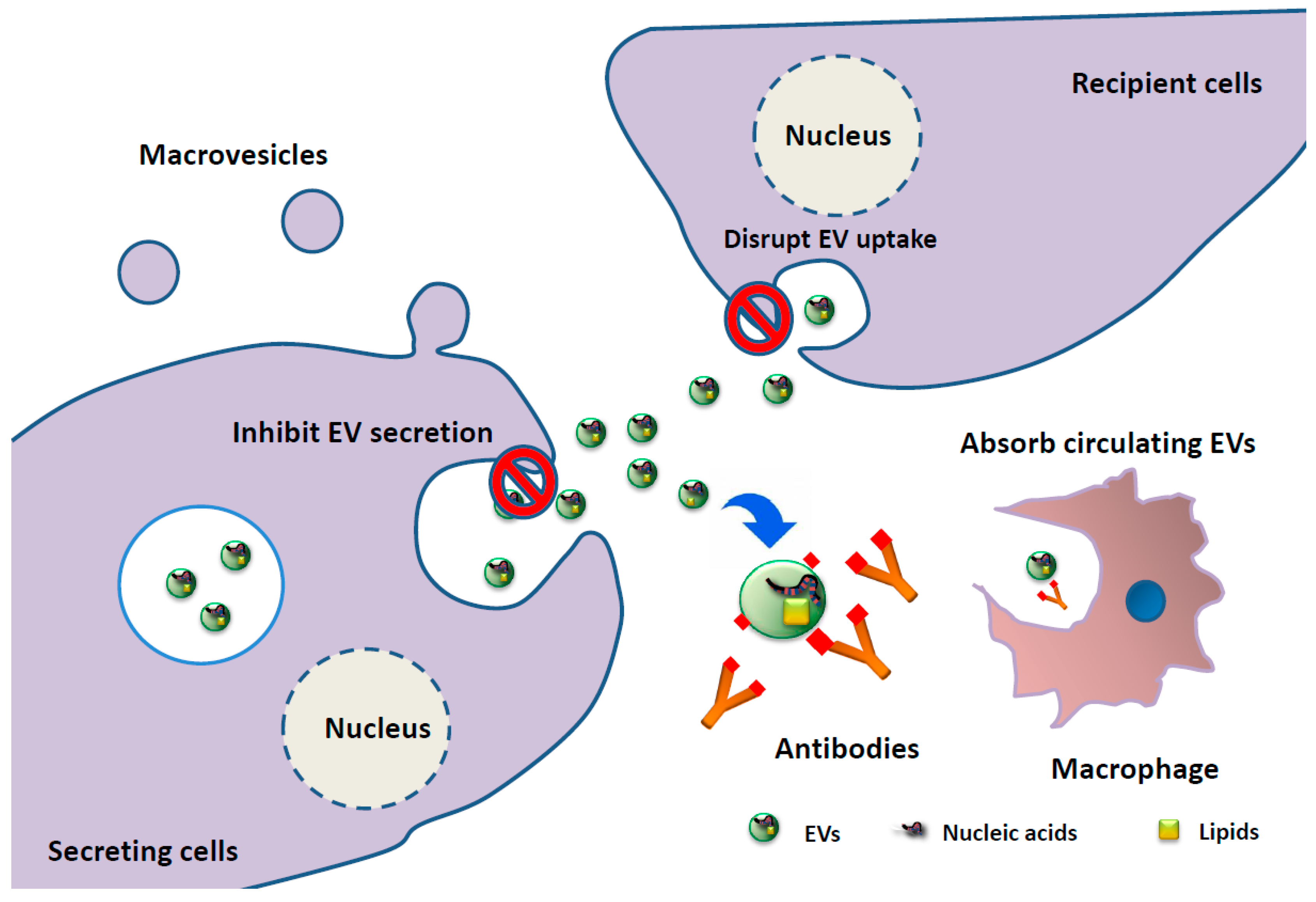 Jcm 07 00055 g002 Jcm 07 00055 g002