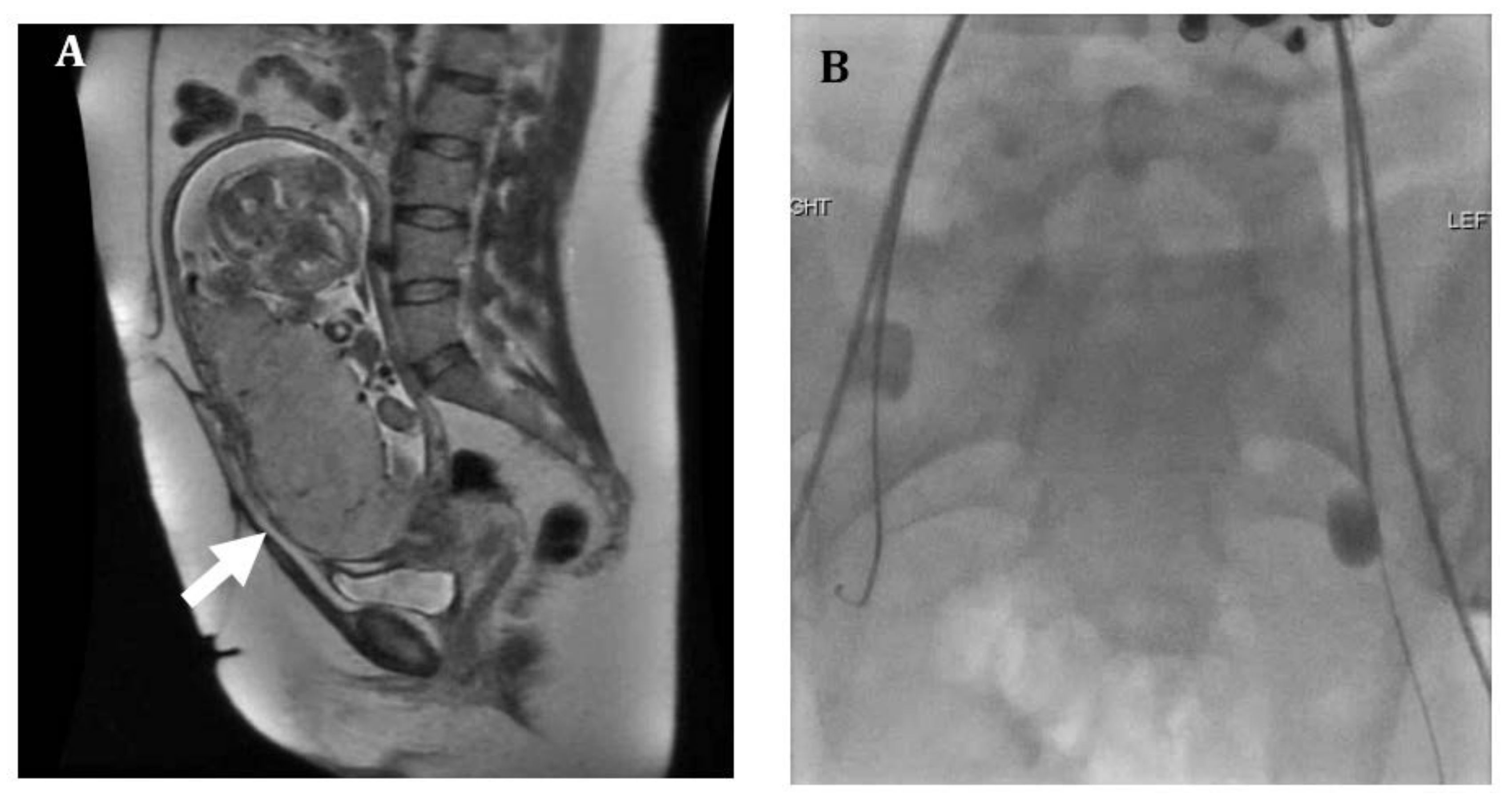 Jcm 07 00092 g001 Jcm 07 00092 g001