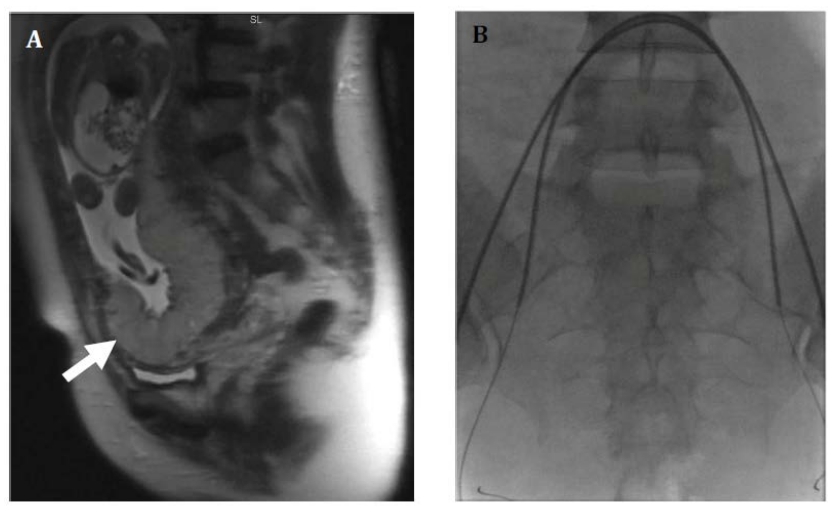 Jcm 07 00092 g002 Jcm 07 00092 g002