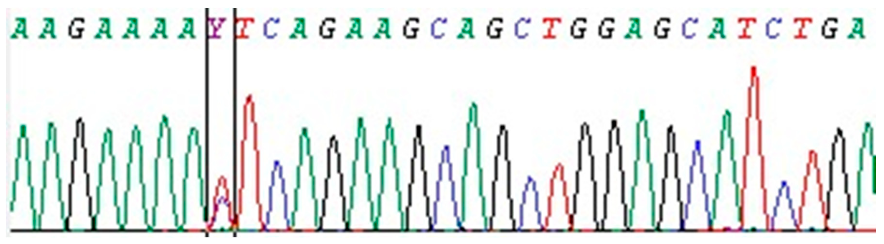 Jcm 07 00105 g001 Jcm 07 00105 g001