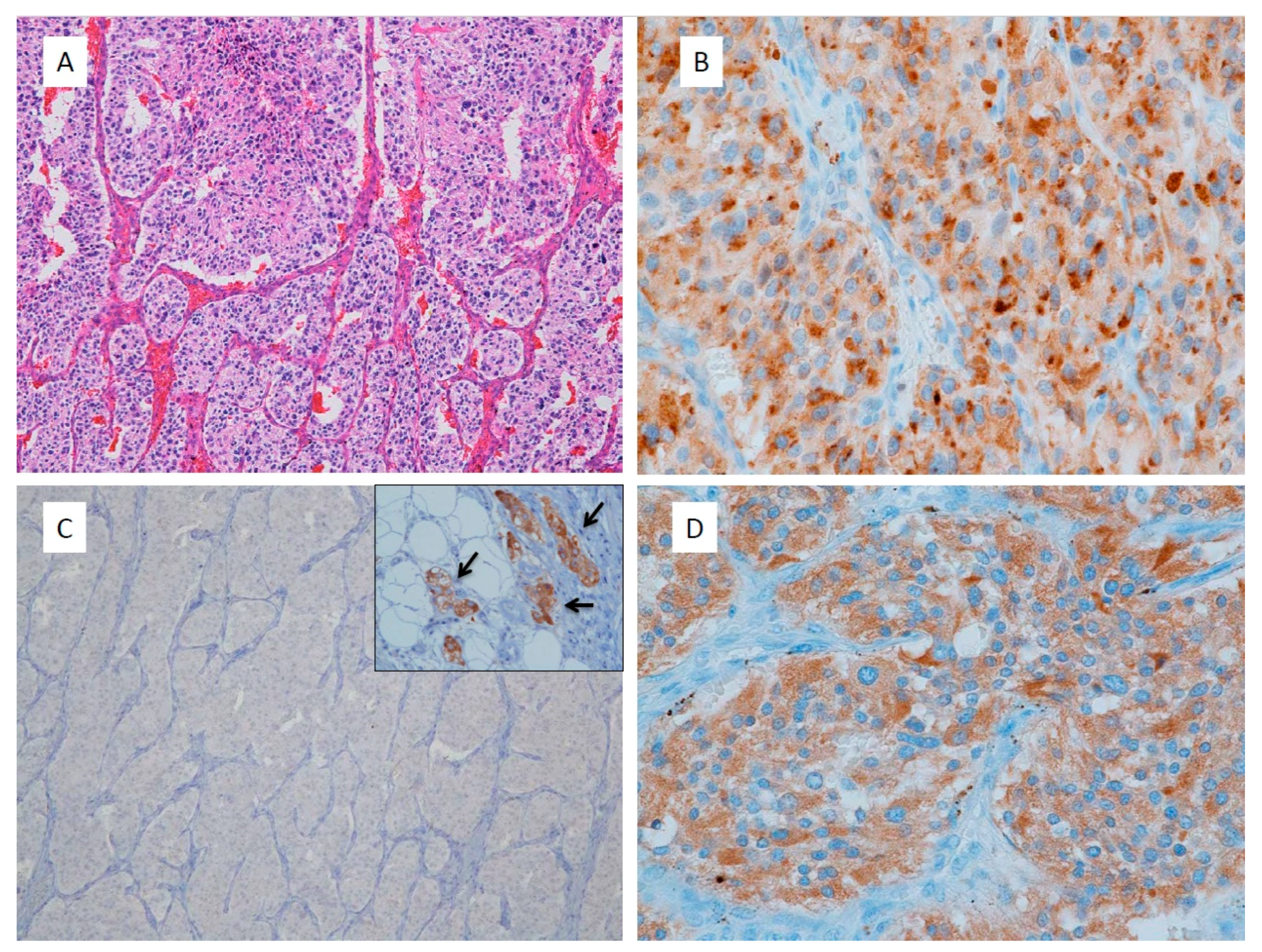 Jcm 07 00242 g001 Jcm 07 00242 g001