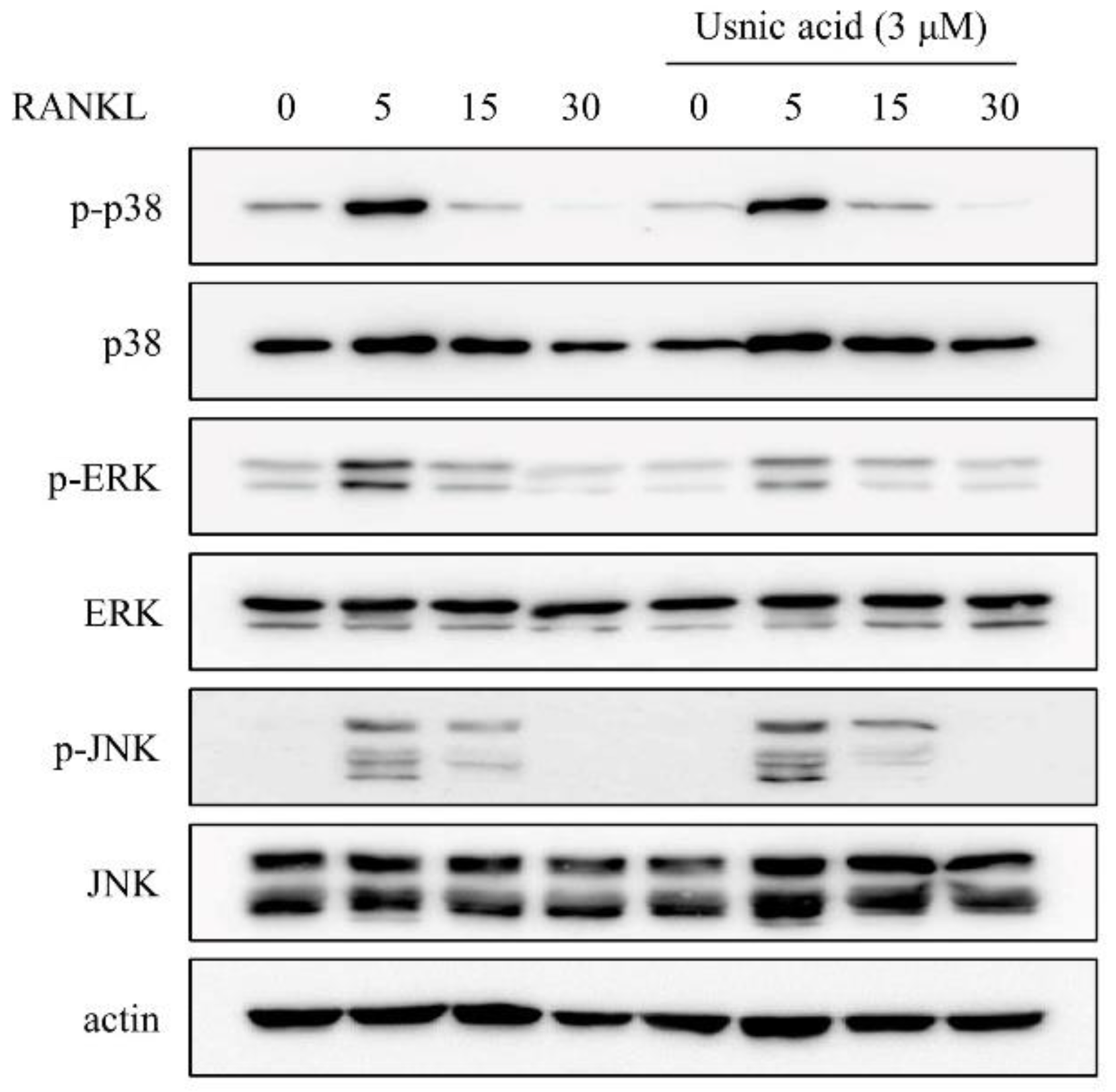 Jcm 07 00345 g003