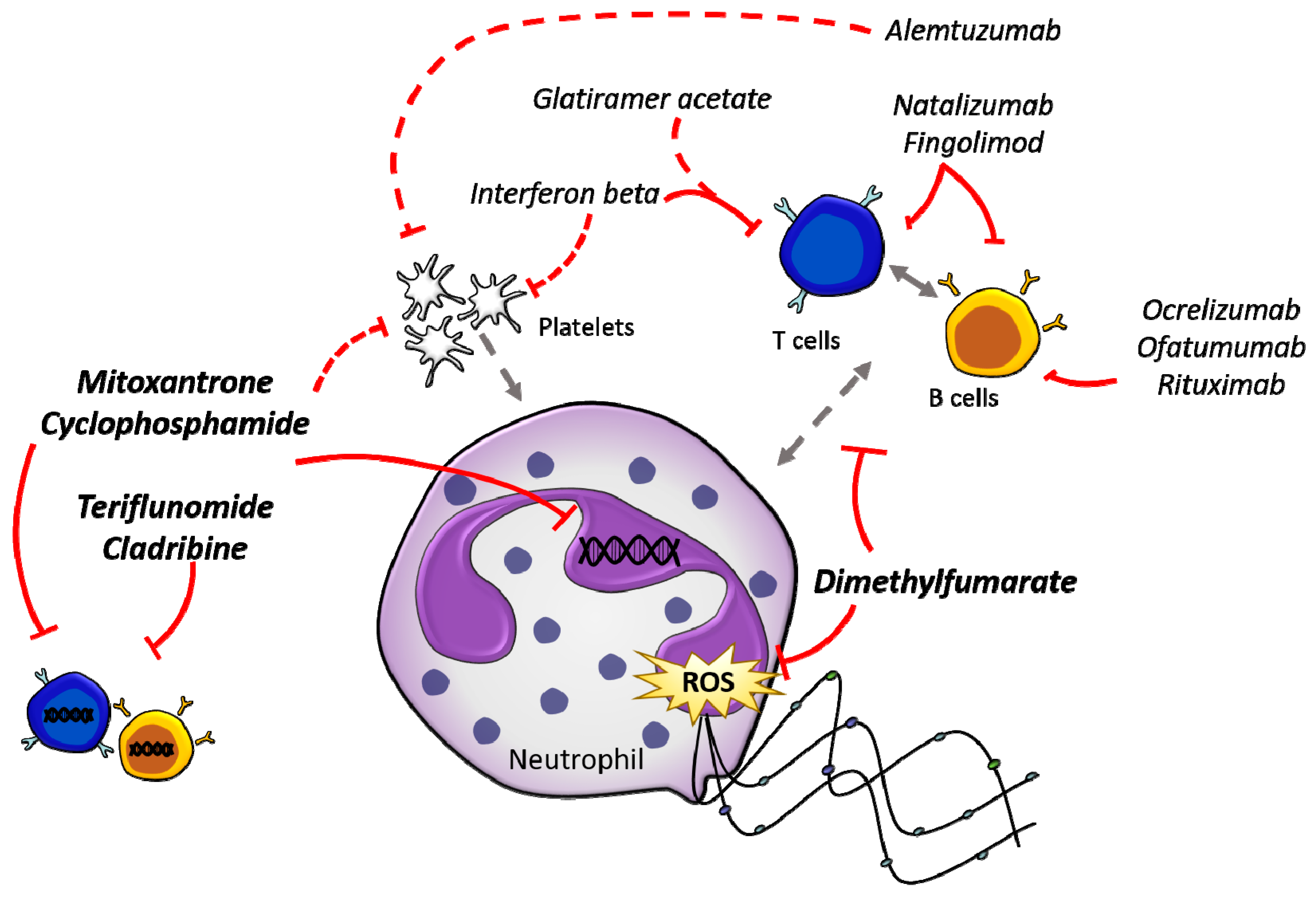 Jcm 07 00511 g001 Jcm 07 00511 g001