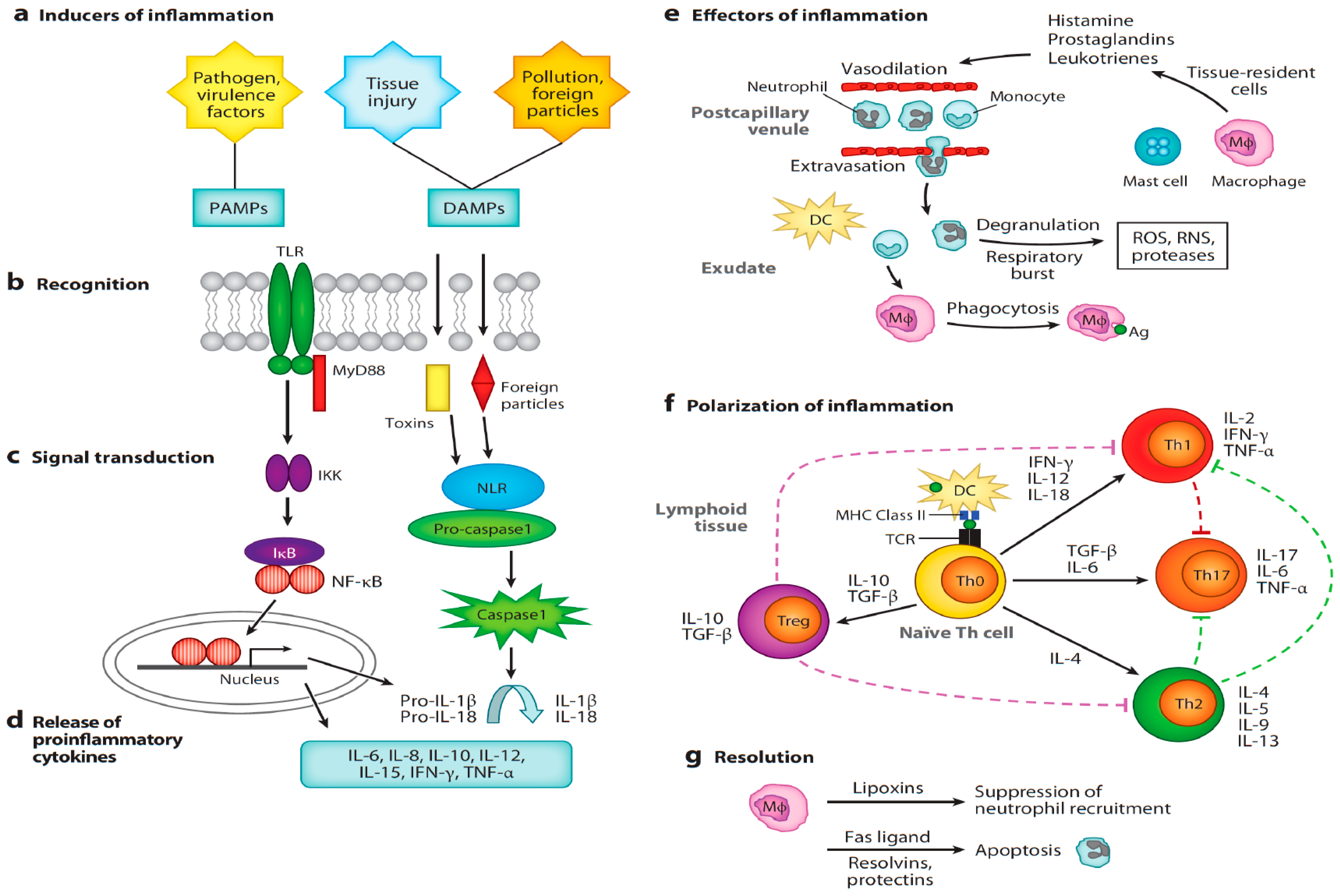 Jcm 07 00549 g001 Jcm 07 00549 g001