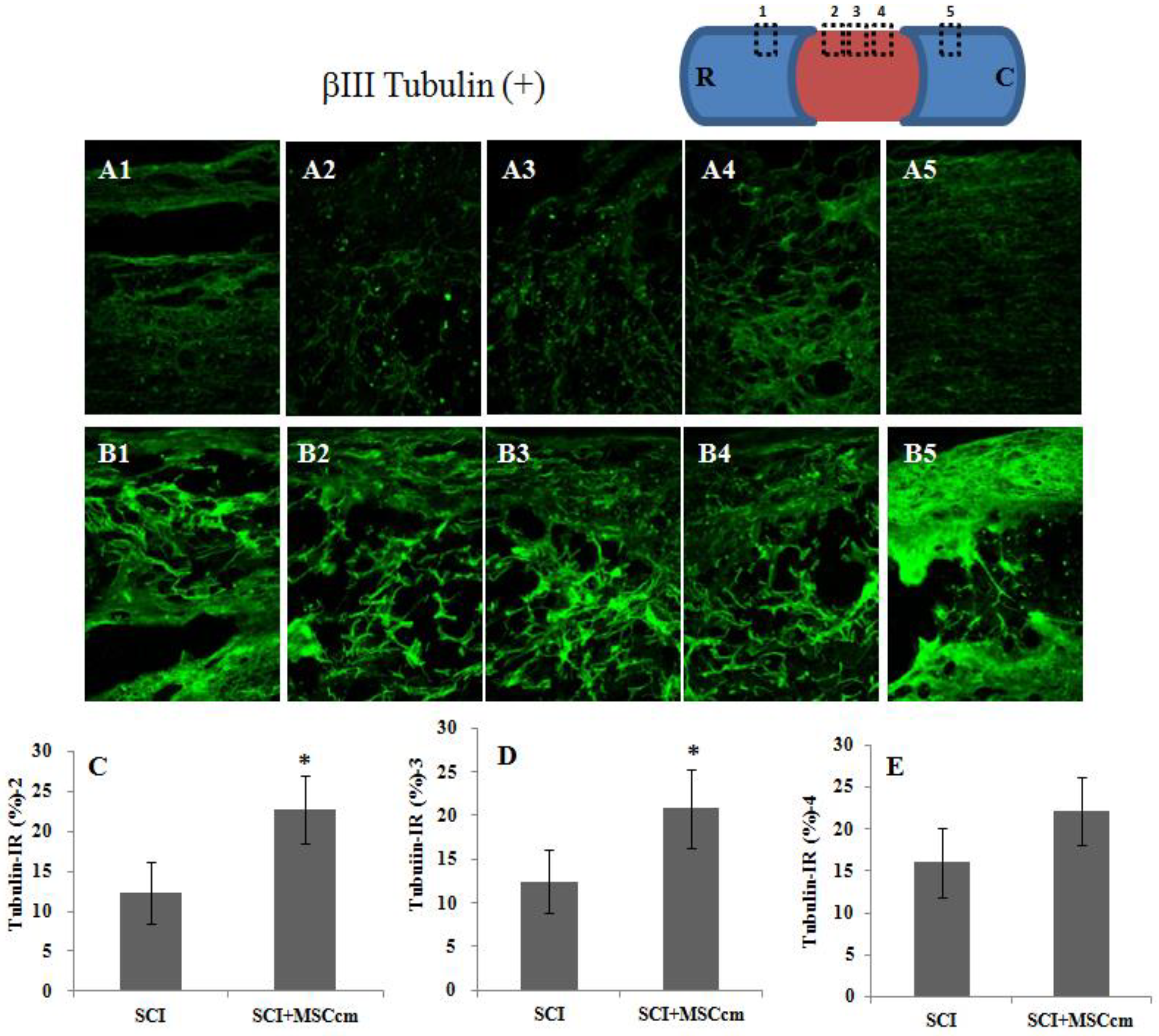 Jcm 08 00023 g005 Jcm 08 00023 g005