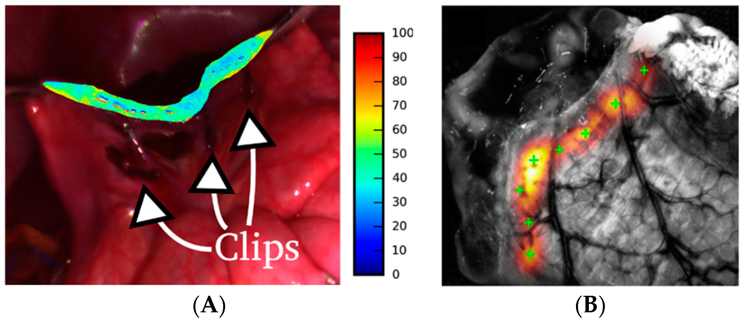 Jcm 08 00036 g007 Jcm 08 00036 g007