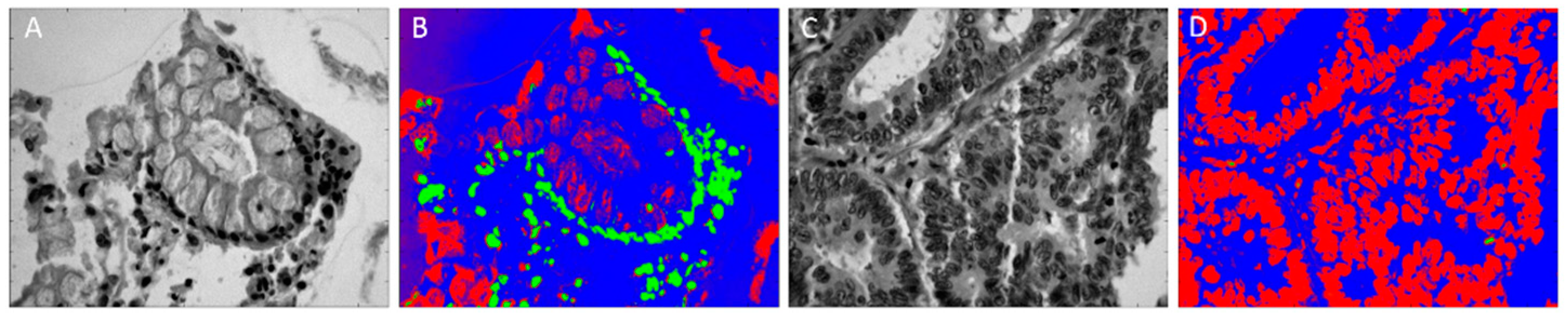 Jcm 08 00036 g009 Jcm 08 00036 g009