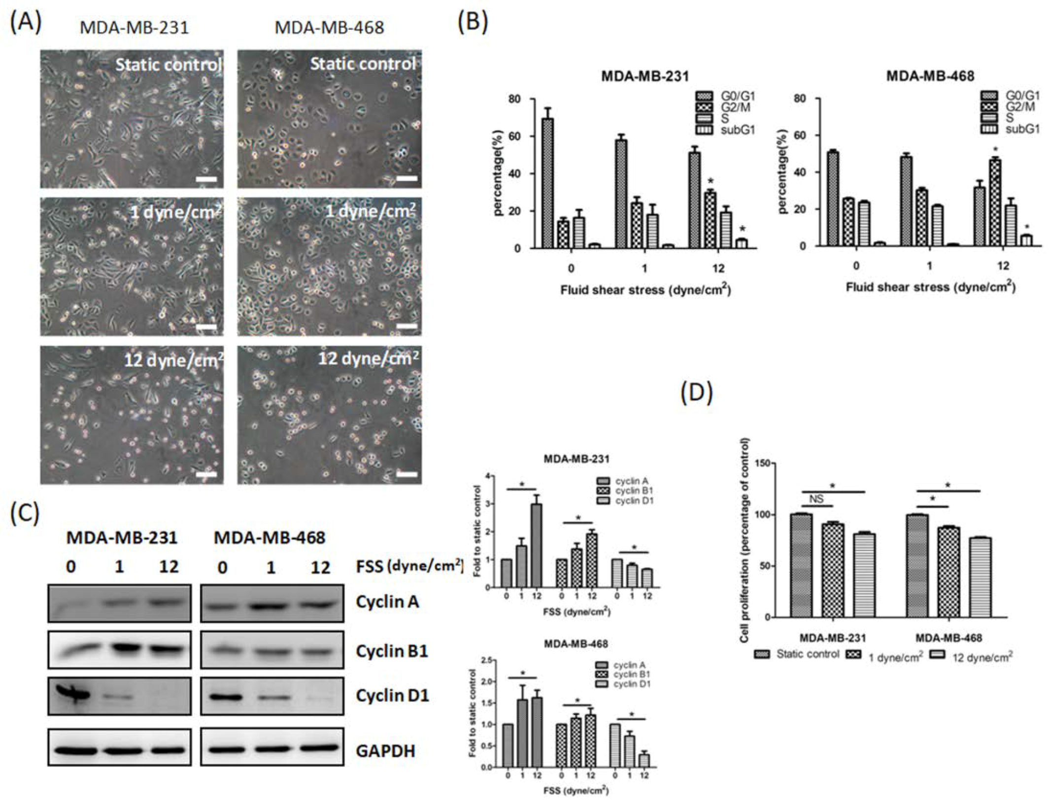 Jcm 08 00038 g001 Jcm 08 00038 g001