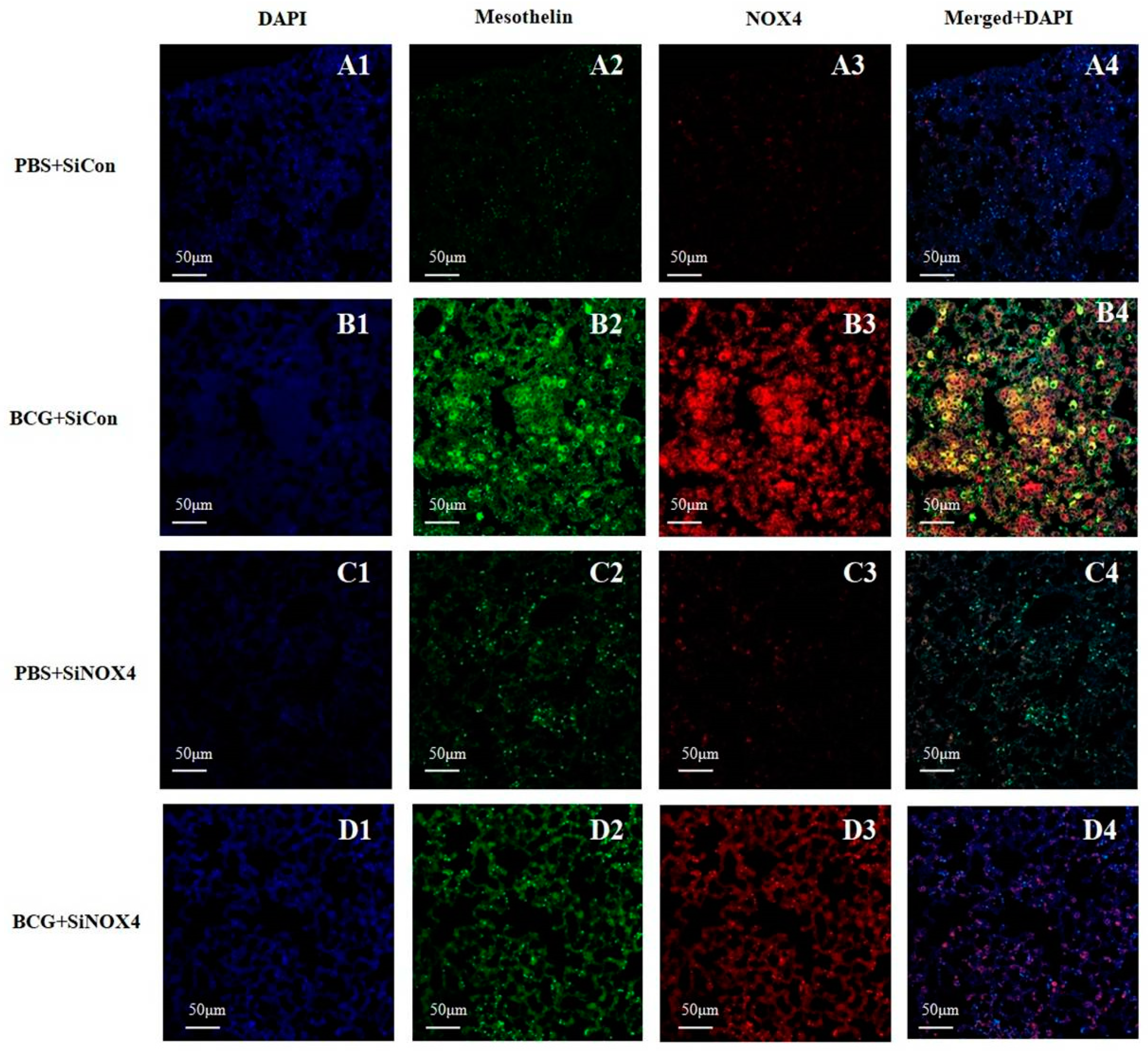 Jcm 08 00116 g007 Jcm 08 00116 g007