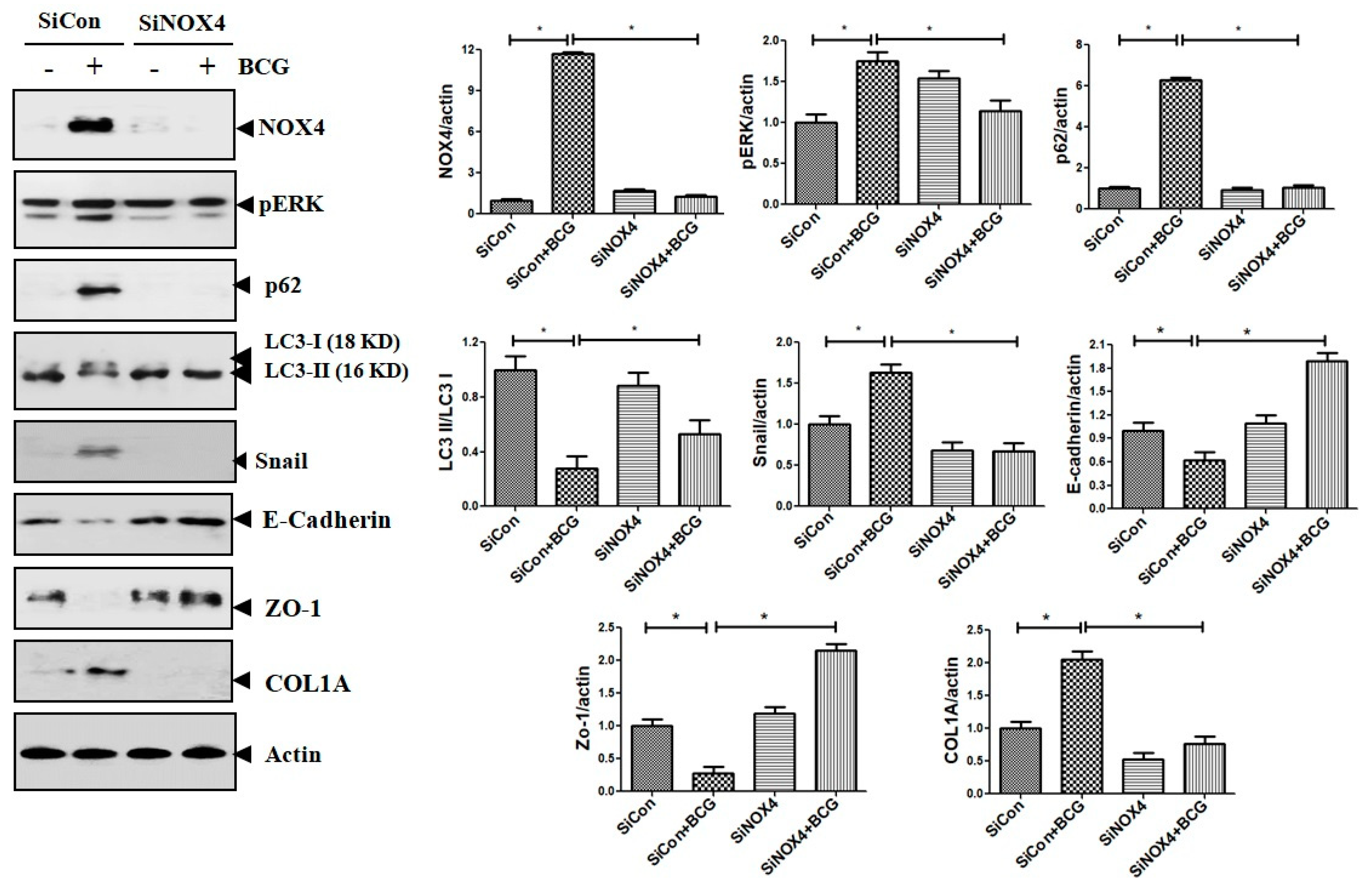 Jcm 08 00116 g009 Jcm 08 00116 g009