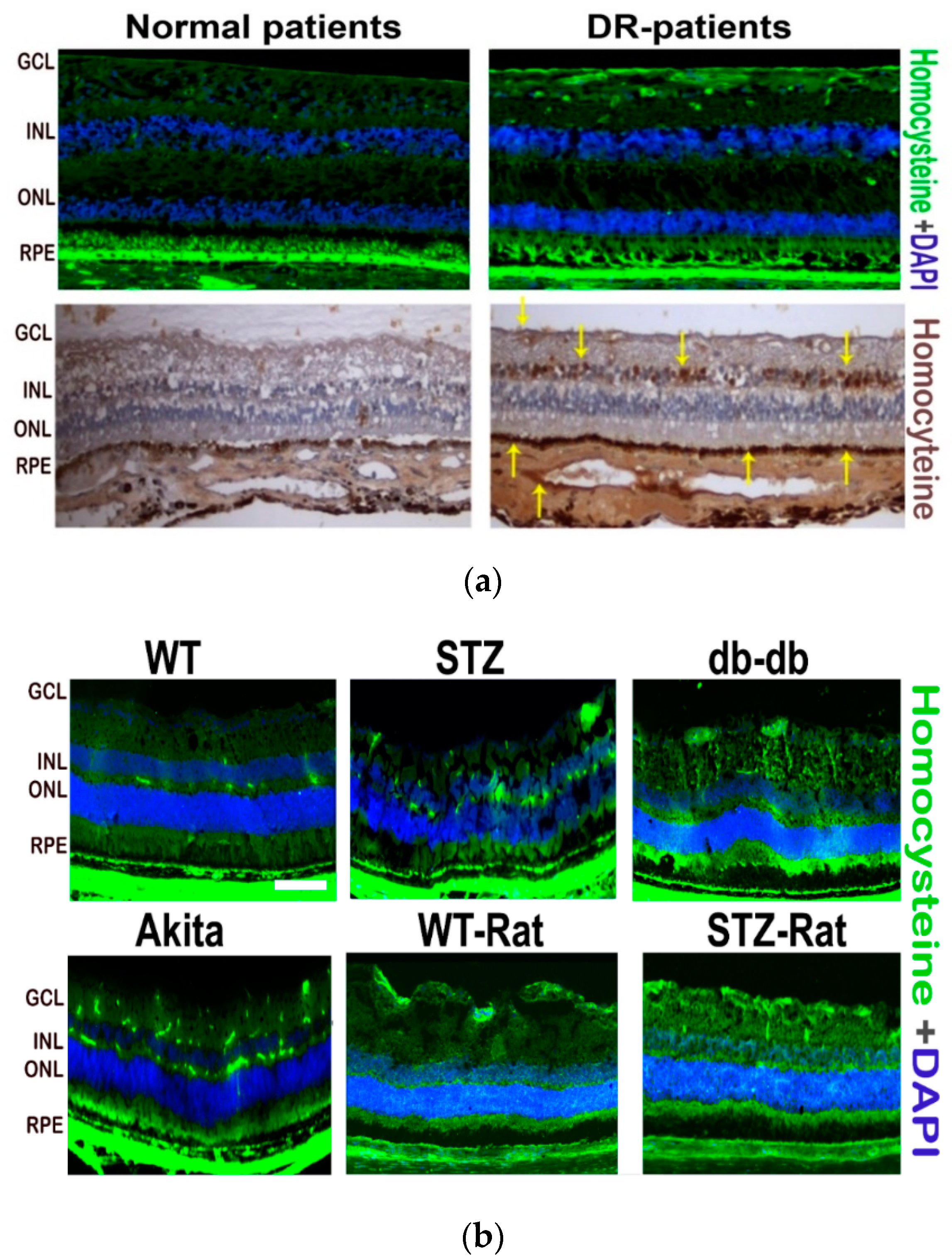 Jcm 08 00121 g002 Jcm 08 00121 g002