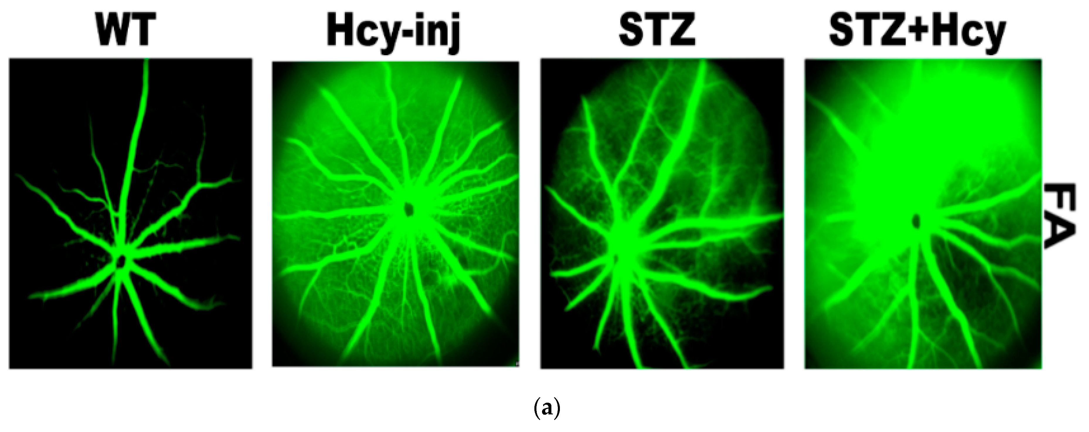 Jcm 08 00121 g004a Jcm 08 00121 g004a
