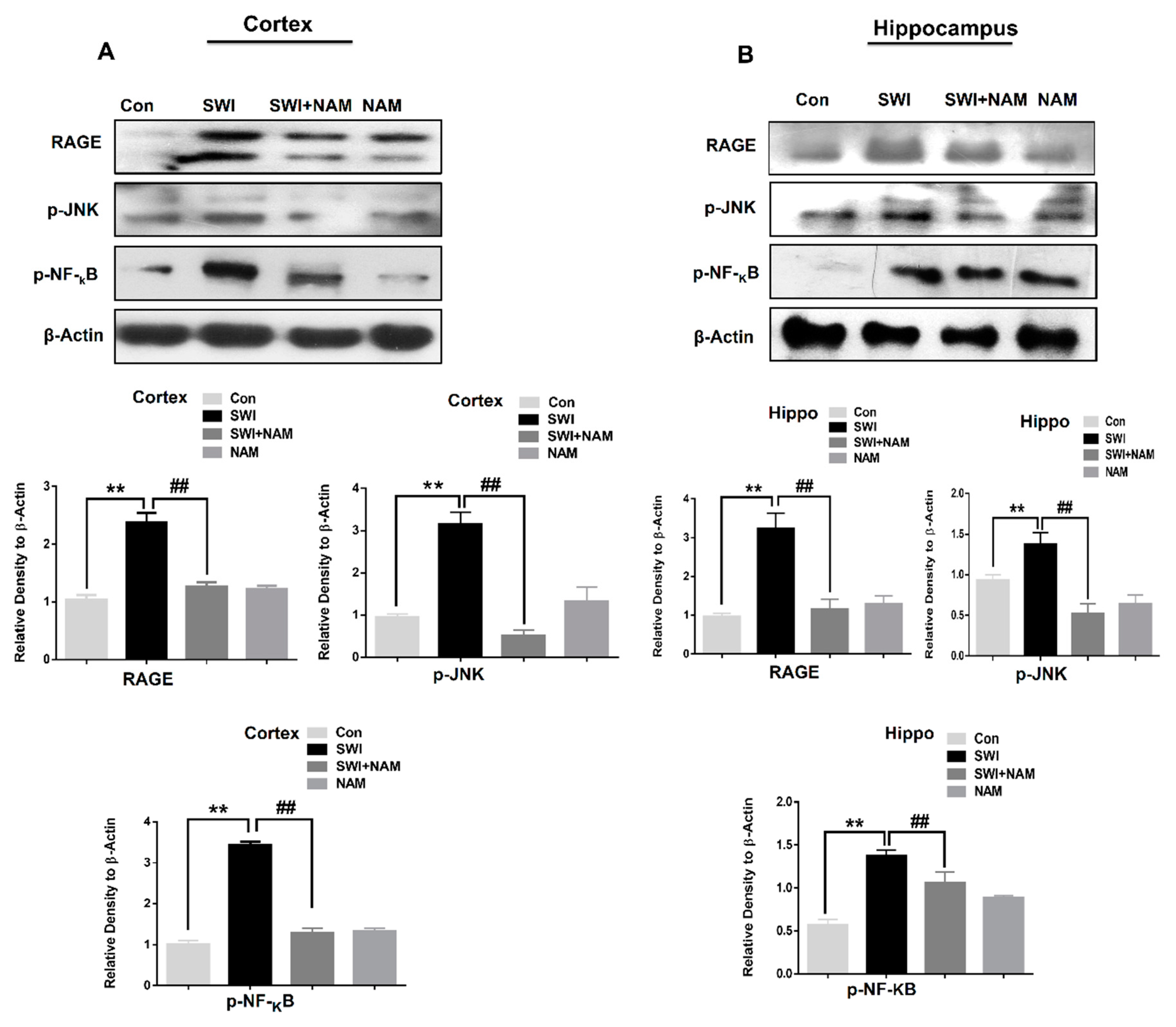 Jcm 08 00271 g002 Jcm 08 00271 g002