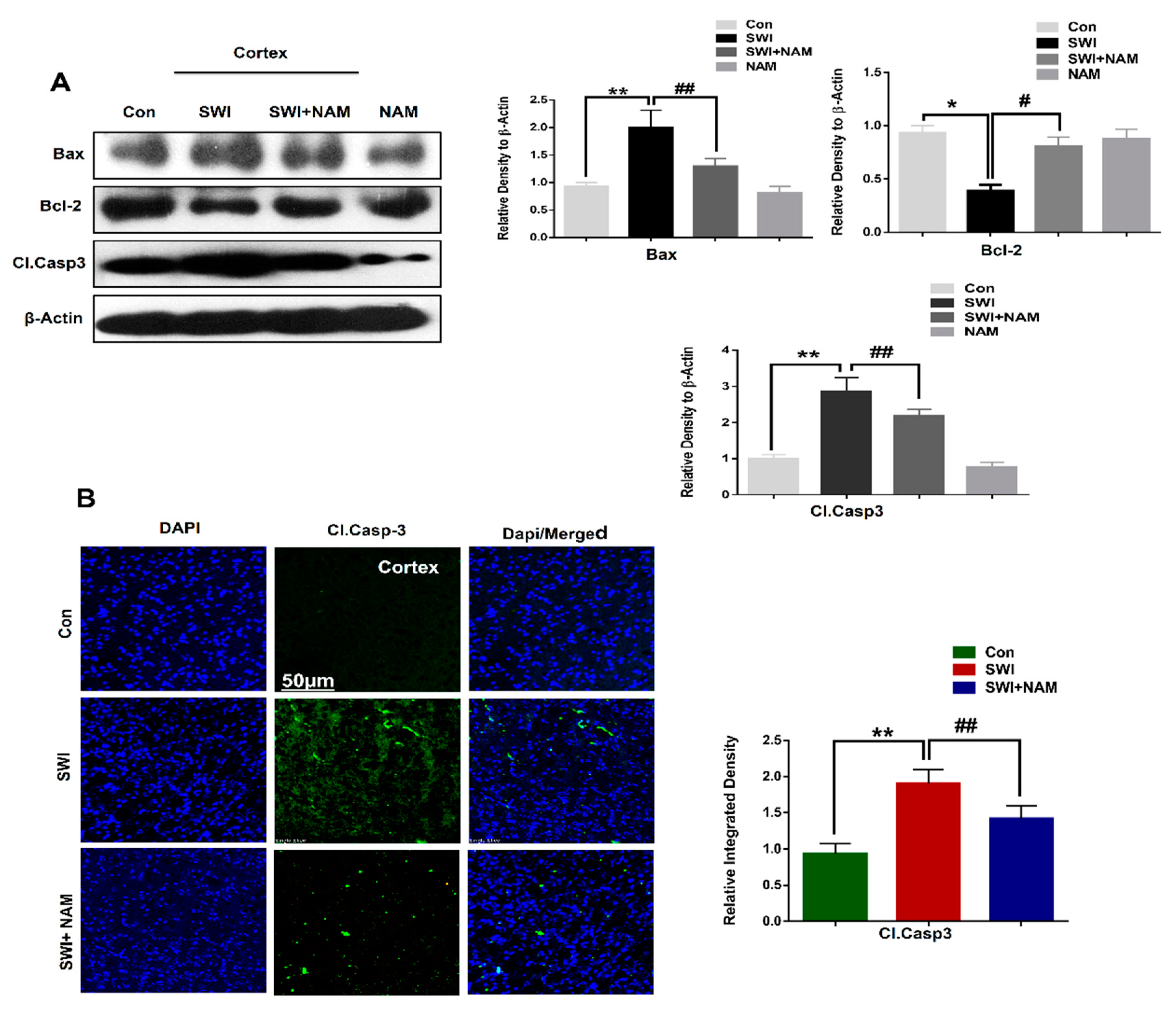Jcm 08 00271 g005 Jcm 08 00271 g005