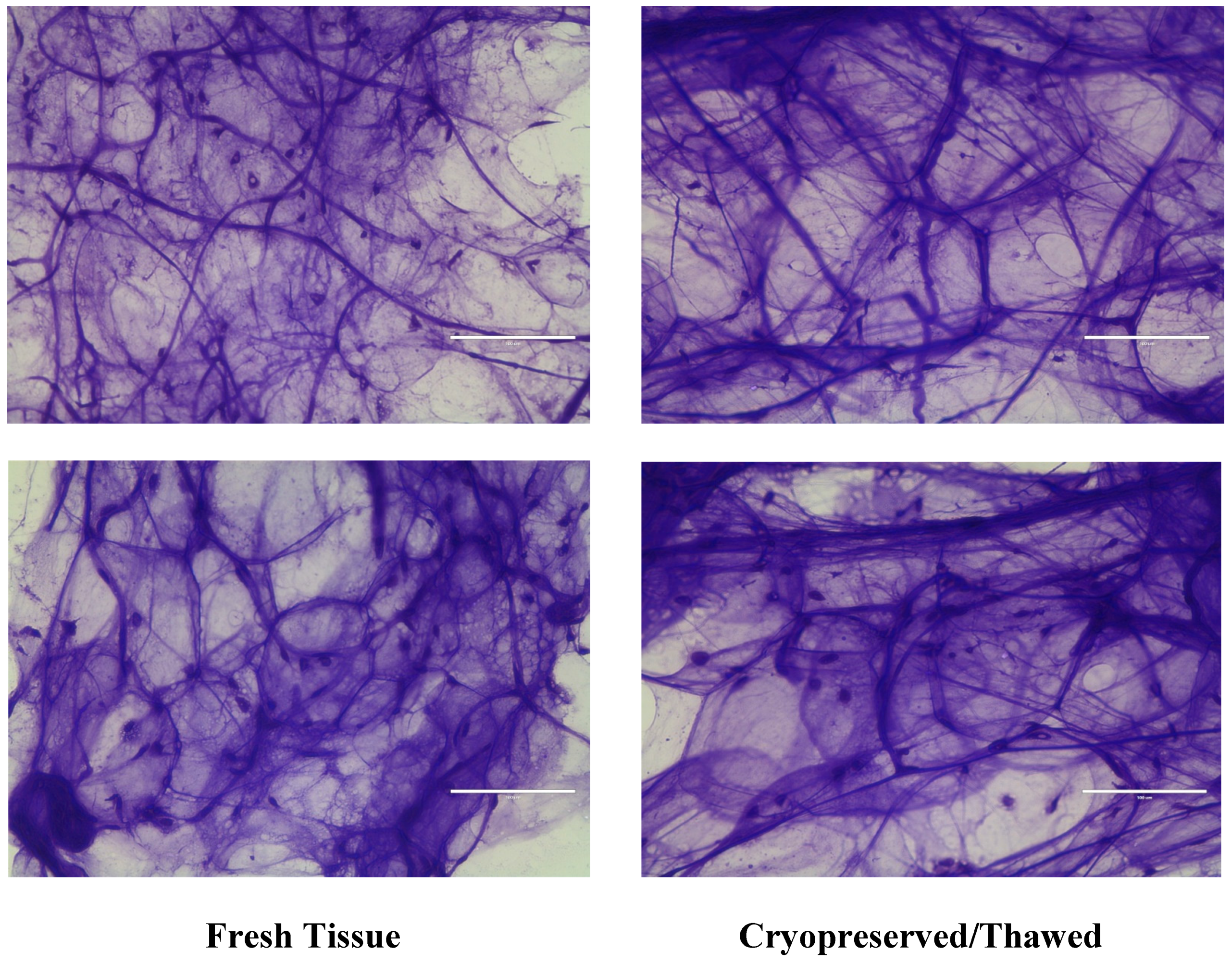 Jcm 08 00327 g004 Jcm 08 00327 g004