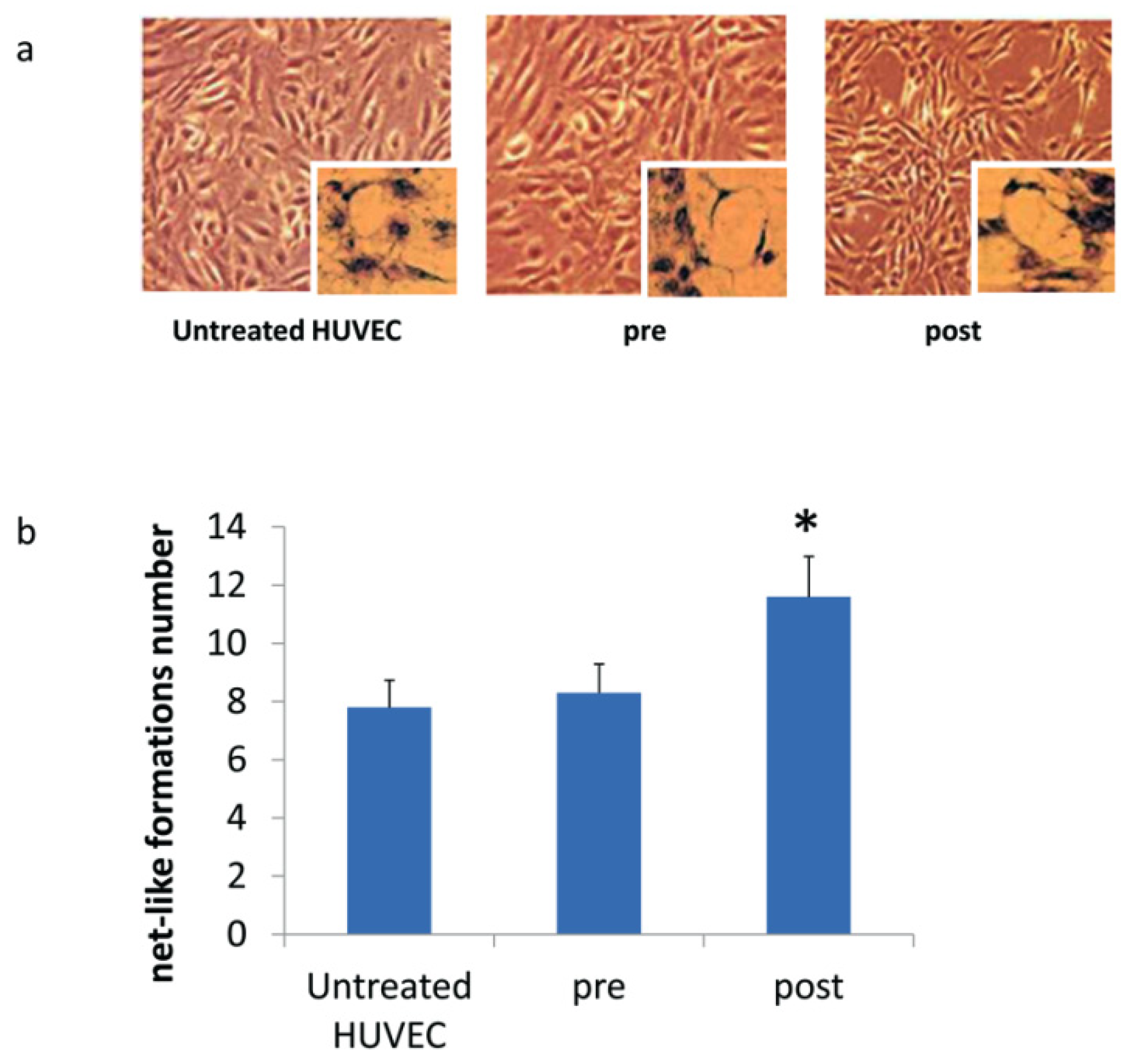 Jcm 08 00329 g005 Jcm 08 00329 g005