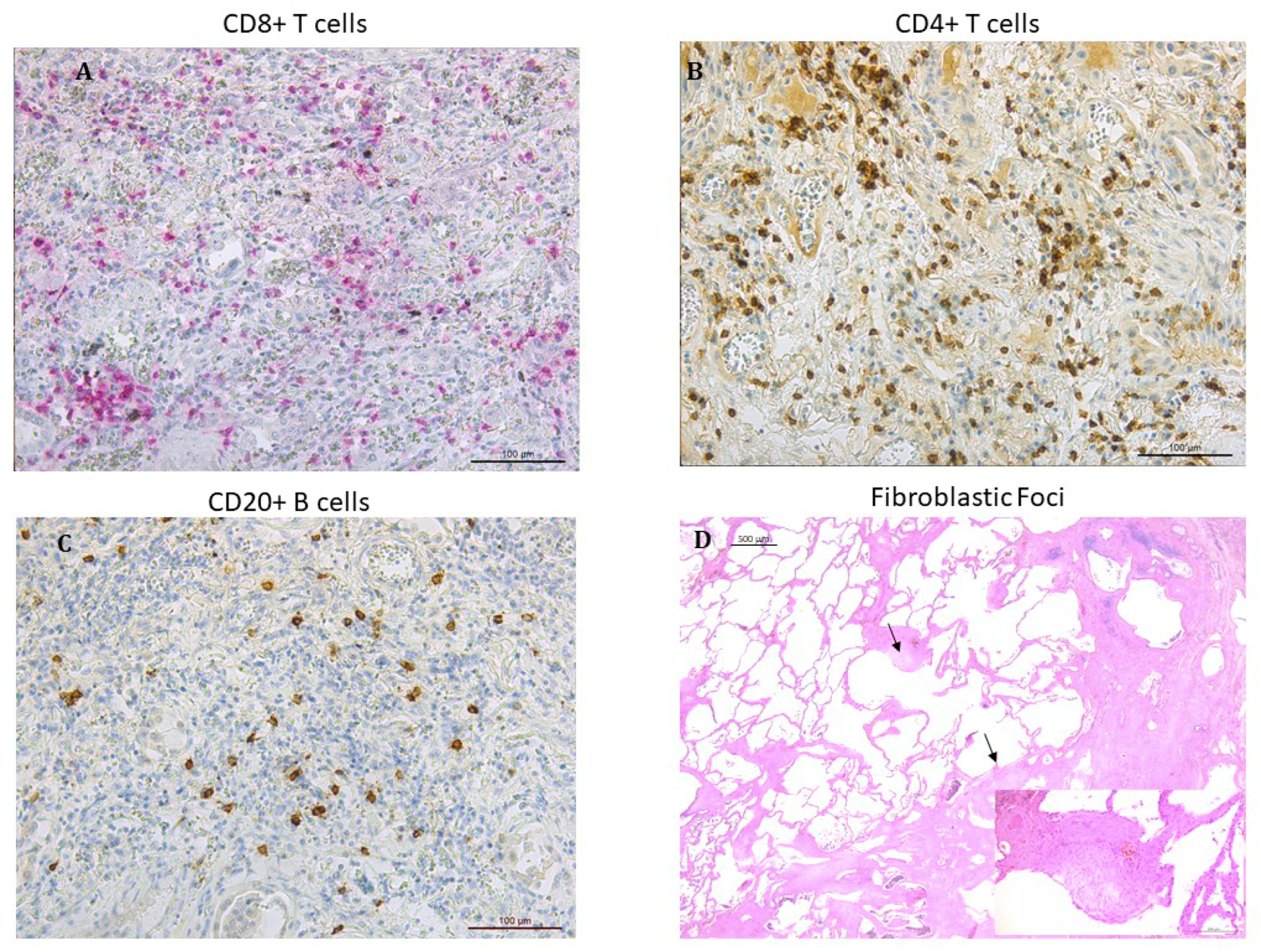 Jcm 08 00399 g001 Jcm 08 00399 g001