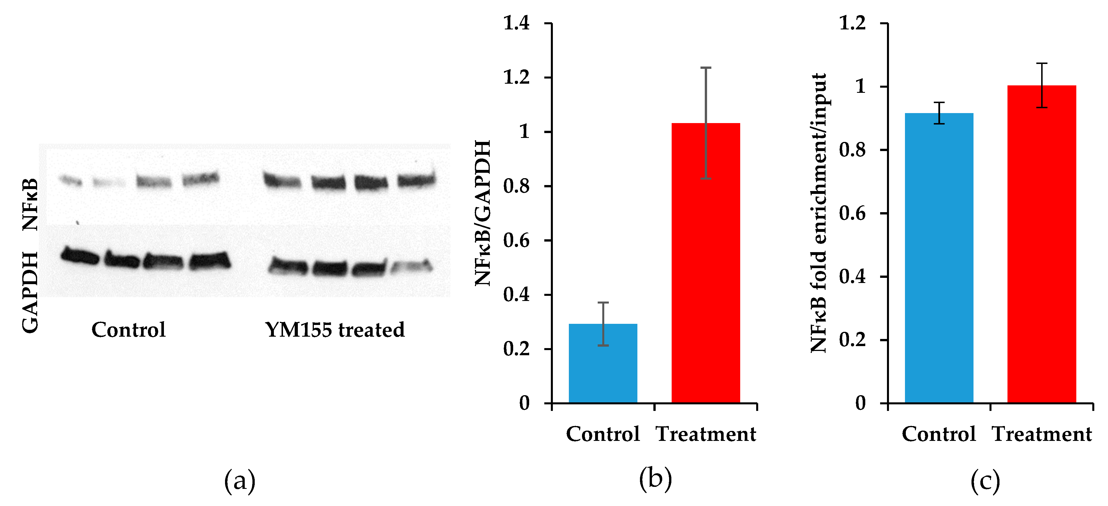 Jcm 08 00408 g008 Jcm 08 00408 g008
