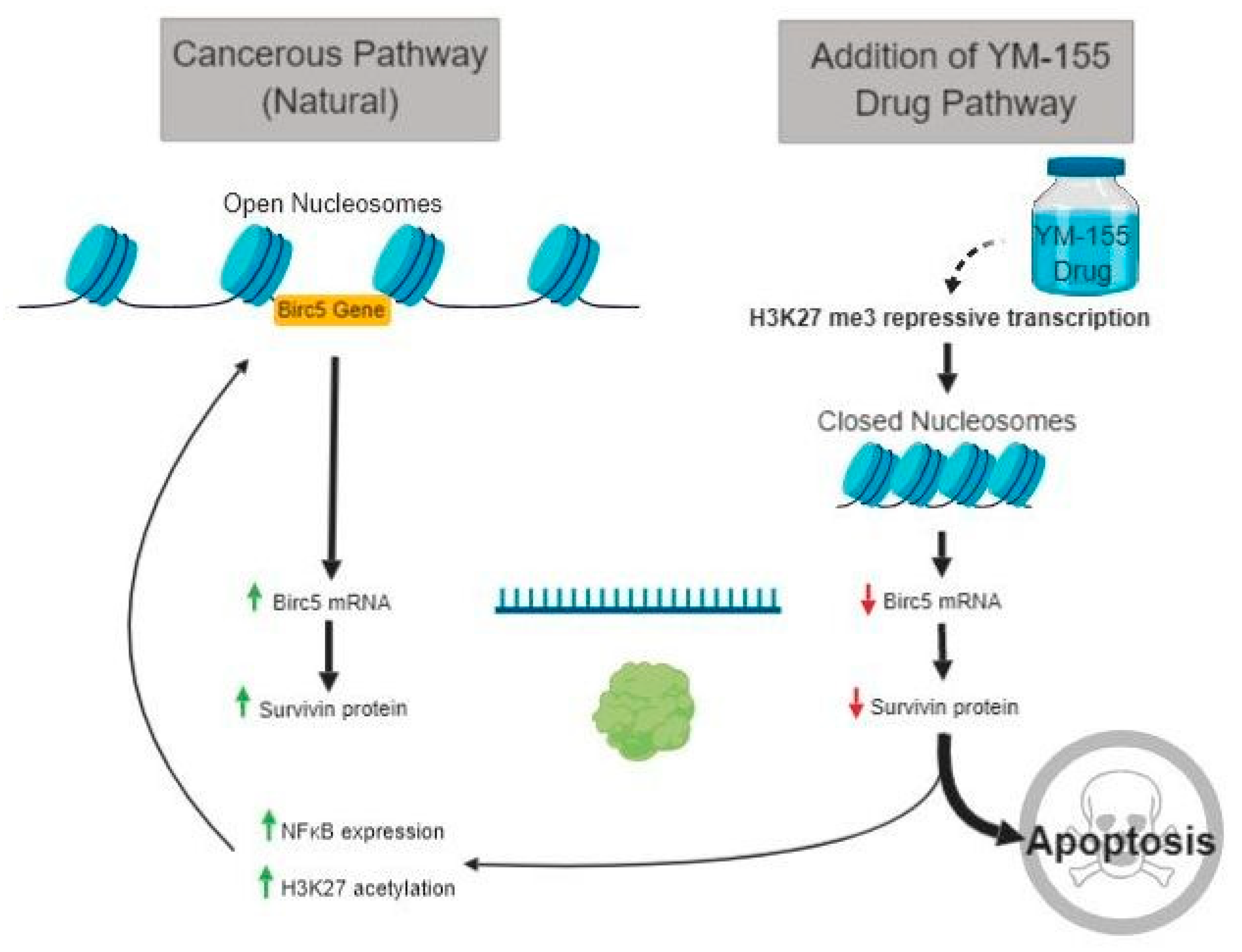 Jcm 08 00408 g009 Jcm 08 00408 g009