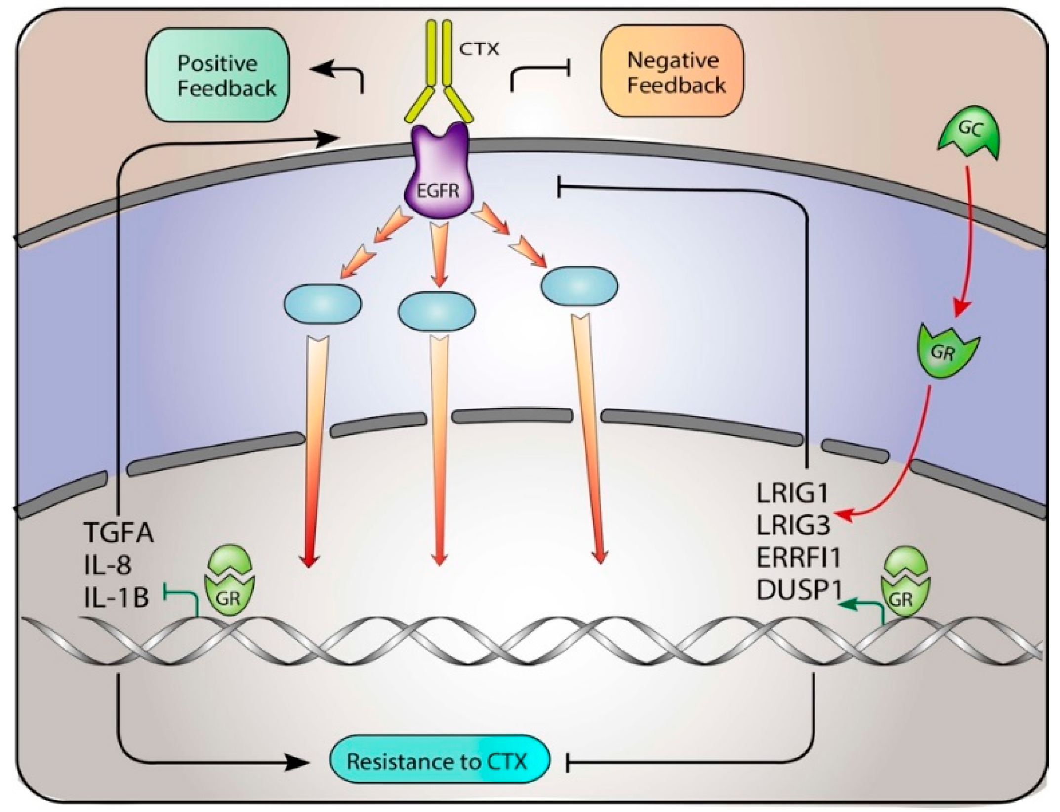 Jcm 08 00600 g007 Jcm 08 00600 g007