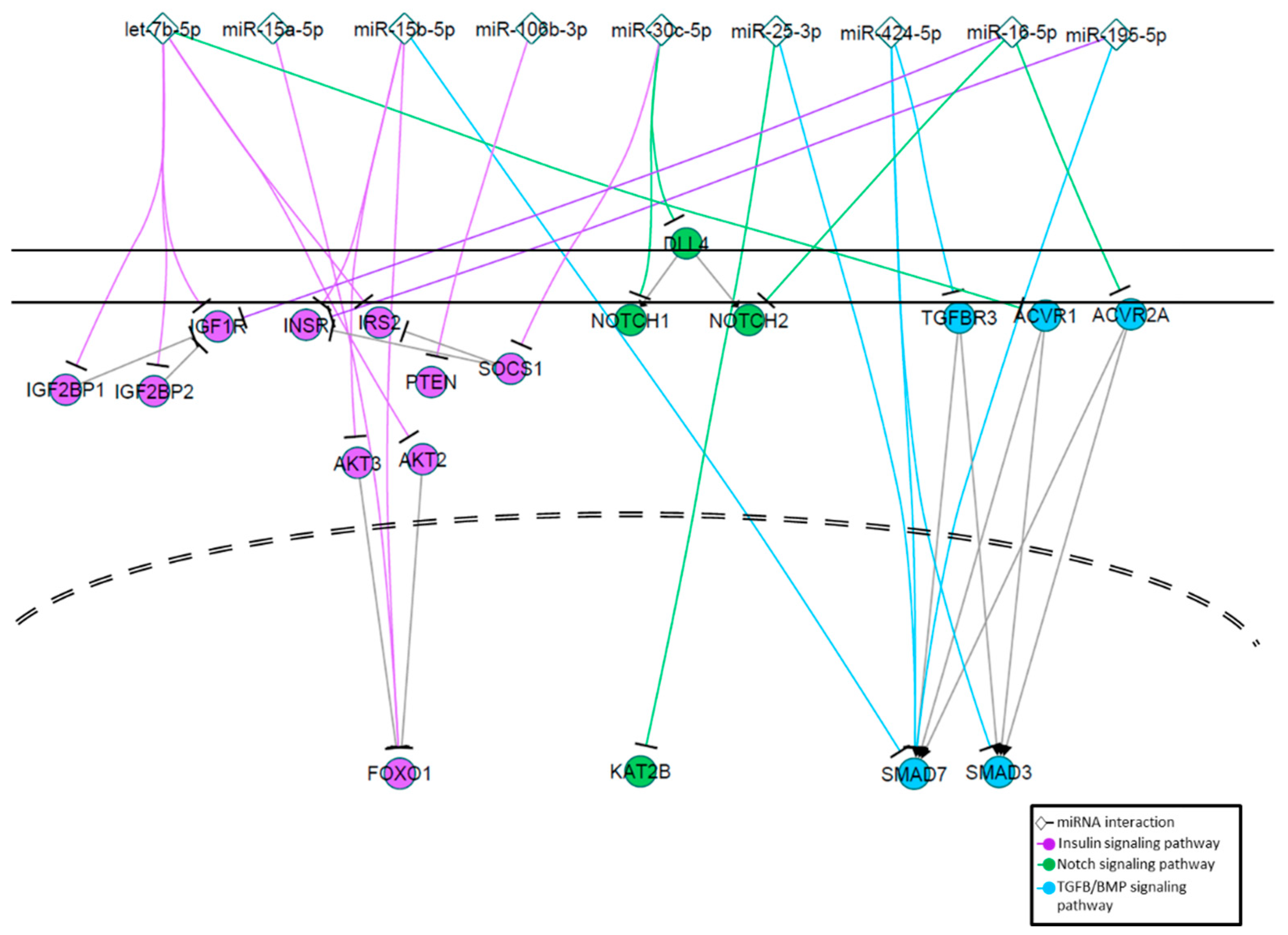 Jcm 08 00617 g008 Jcm 08 00617 g008
