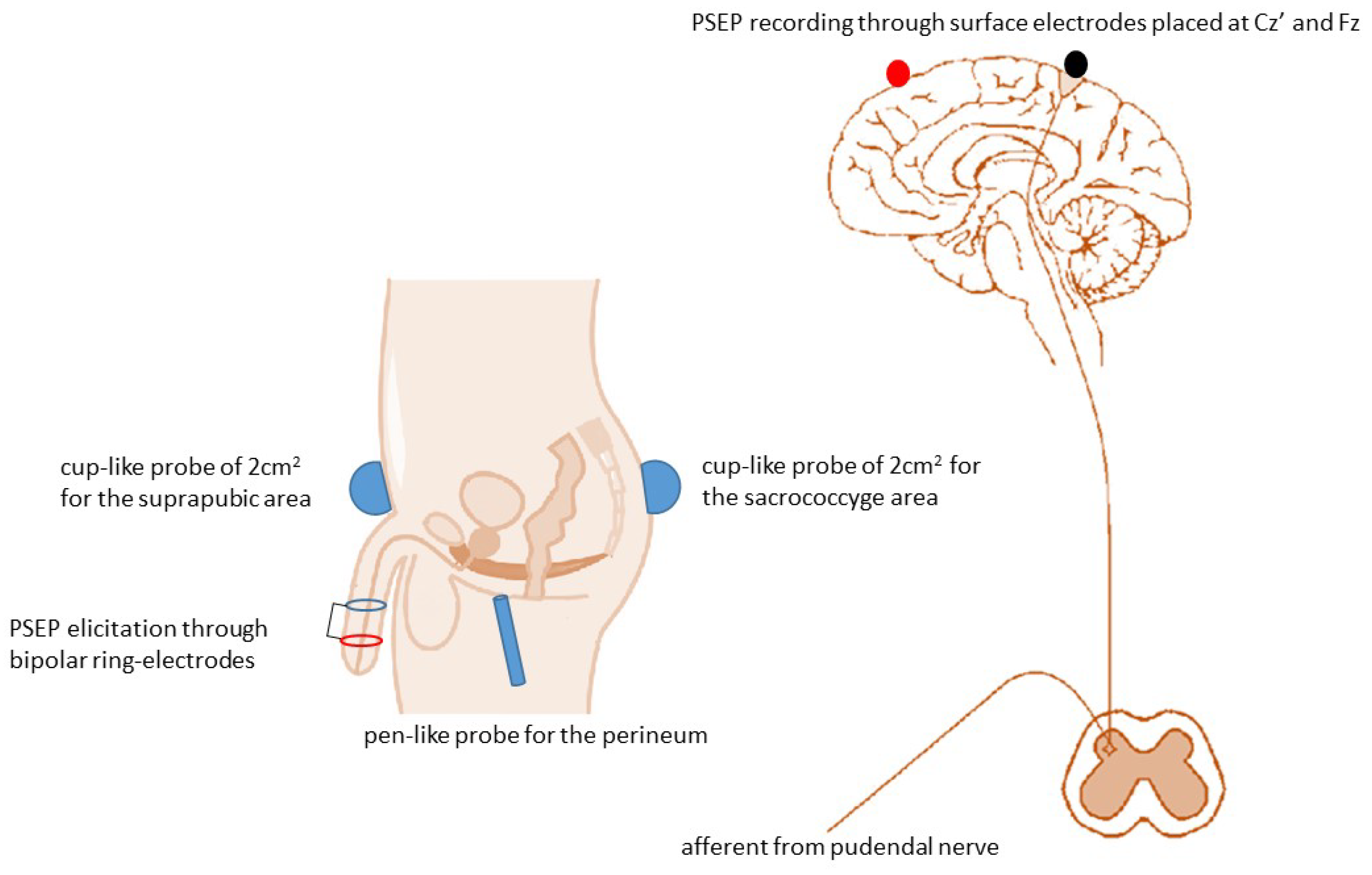 Jcm 08 00658 g003 Jcm 08 00658 g003
