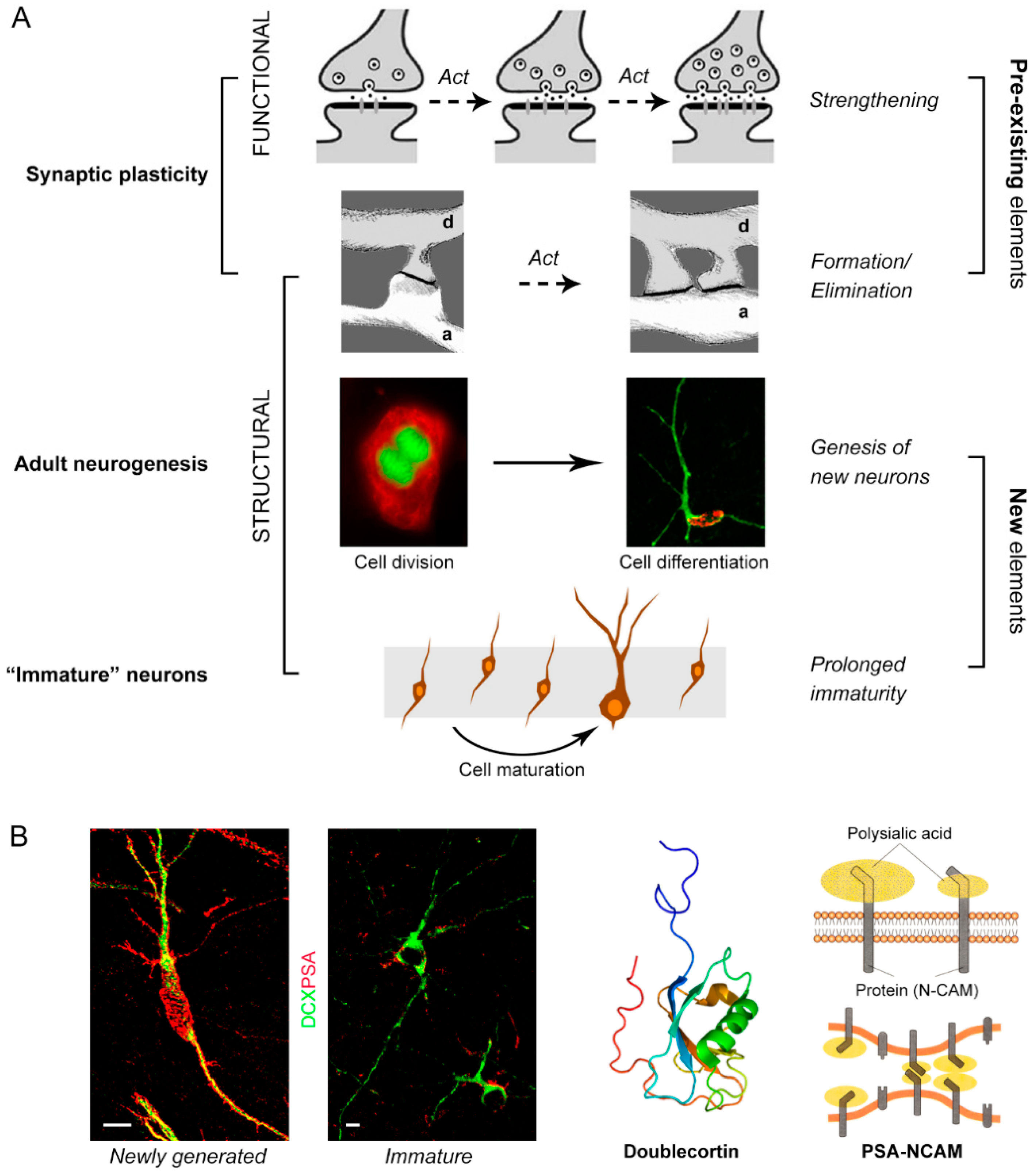 Jcm 08 00685 g001 Jcm 08 00685 g001