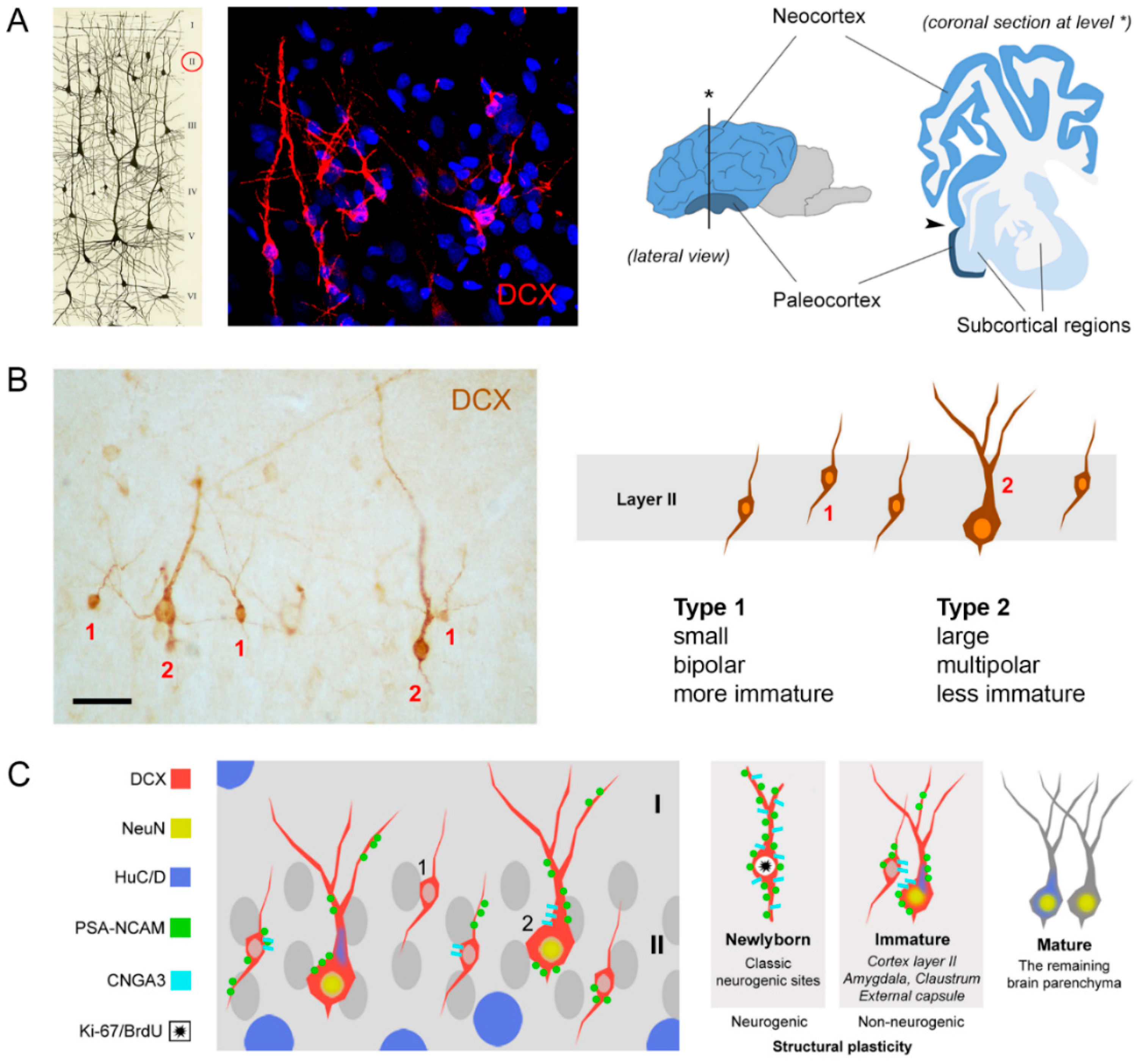 Jcm 08 00685 g003 Jcm 08 00685 g003