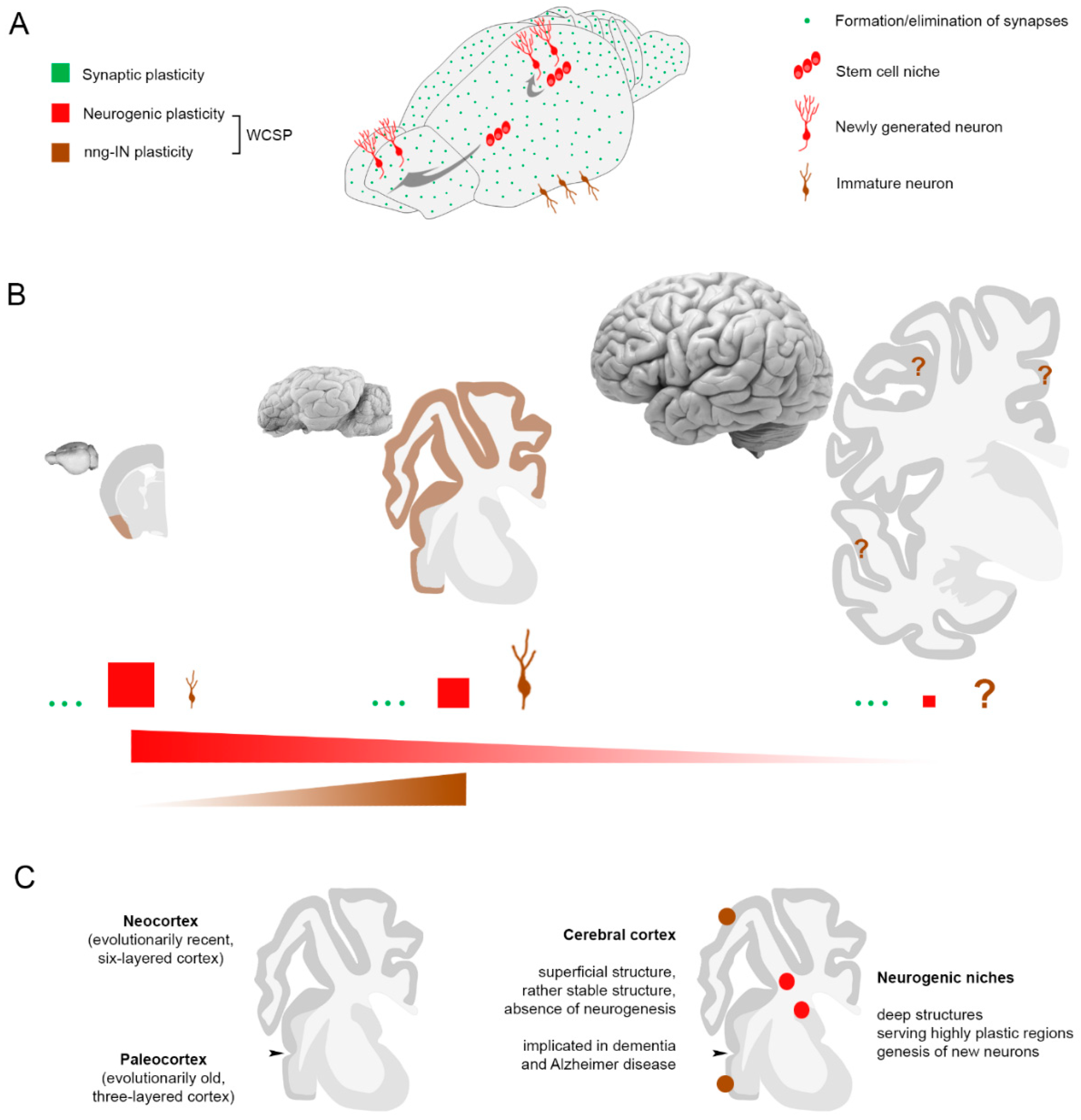 Jcm 08 00685 g005 Jcm 08 00685 g005