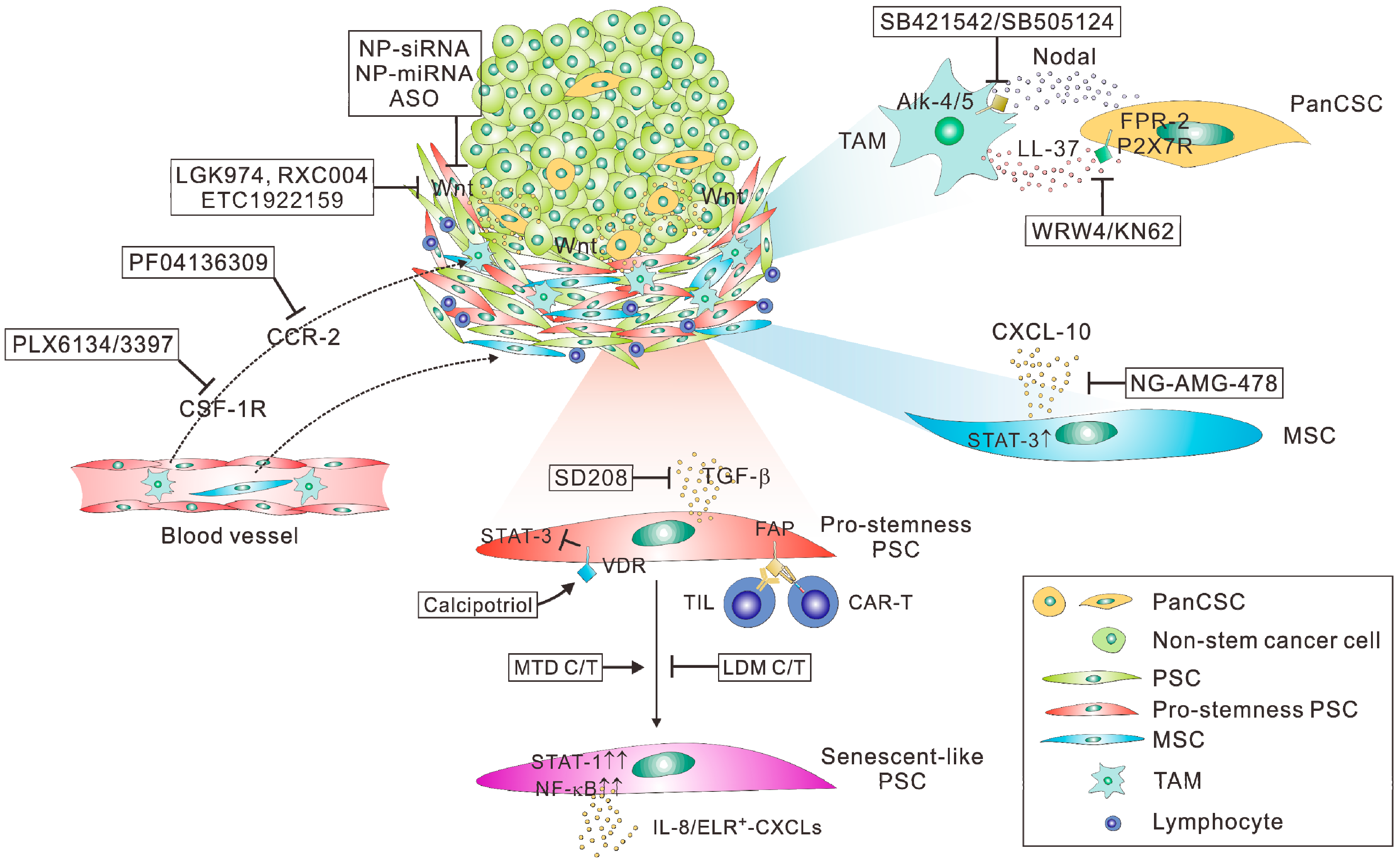 Jcm 08 00702 g002 Jcm 08 00702 g002