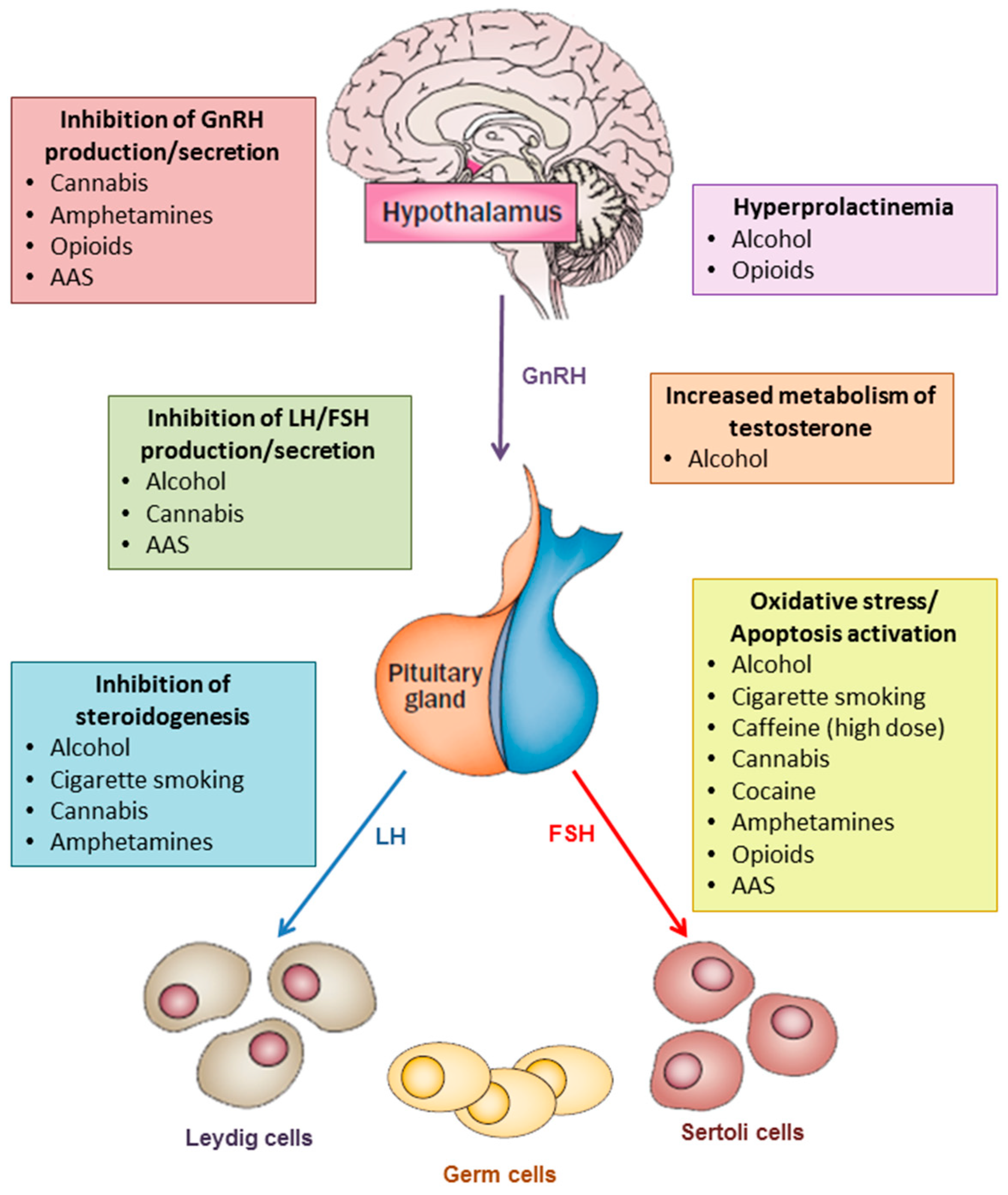 Jcm 08 00732 g001 Jcm 08 00732 g001