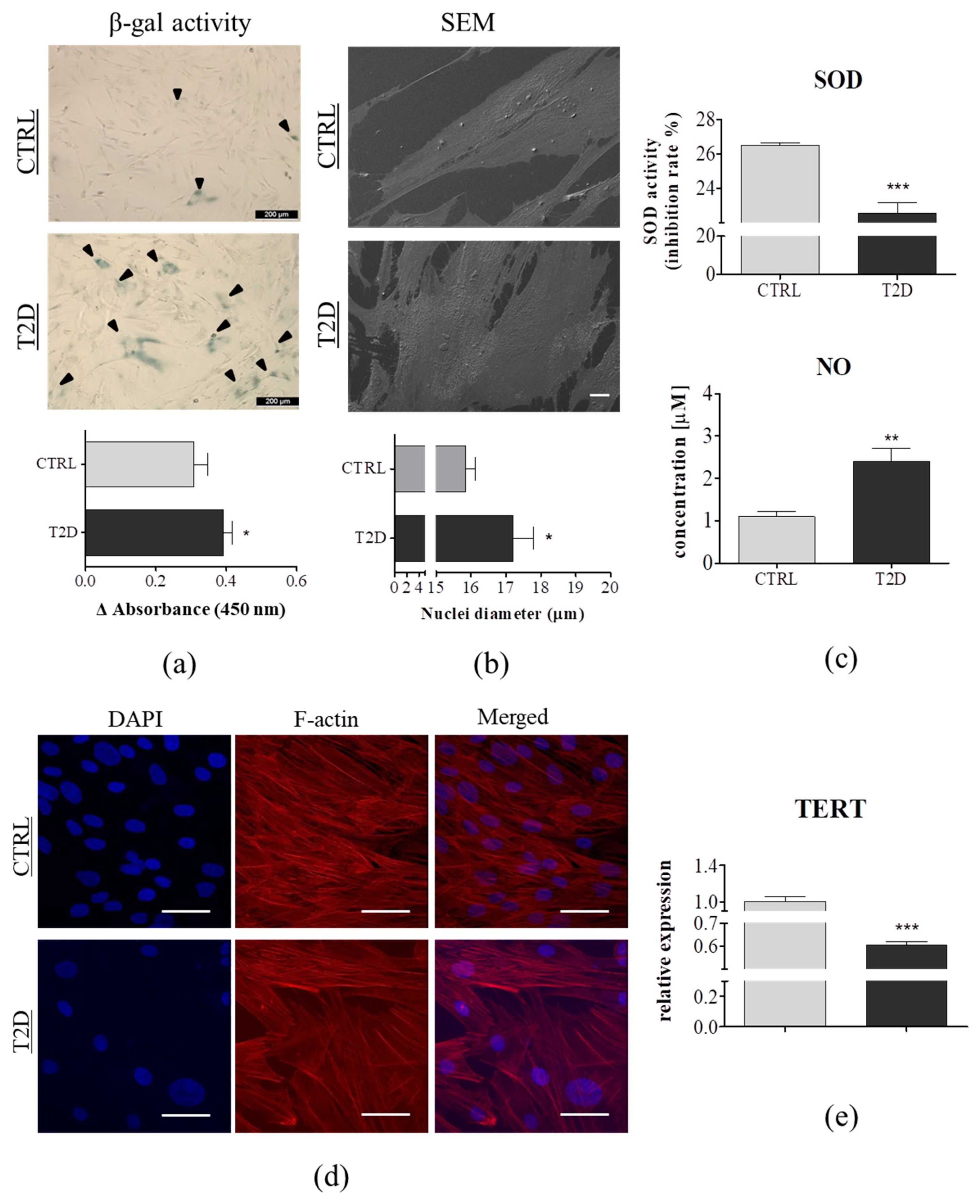 Jcm 08 00765 g002 Jcm 08 00765 g002