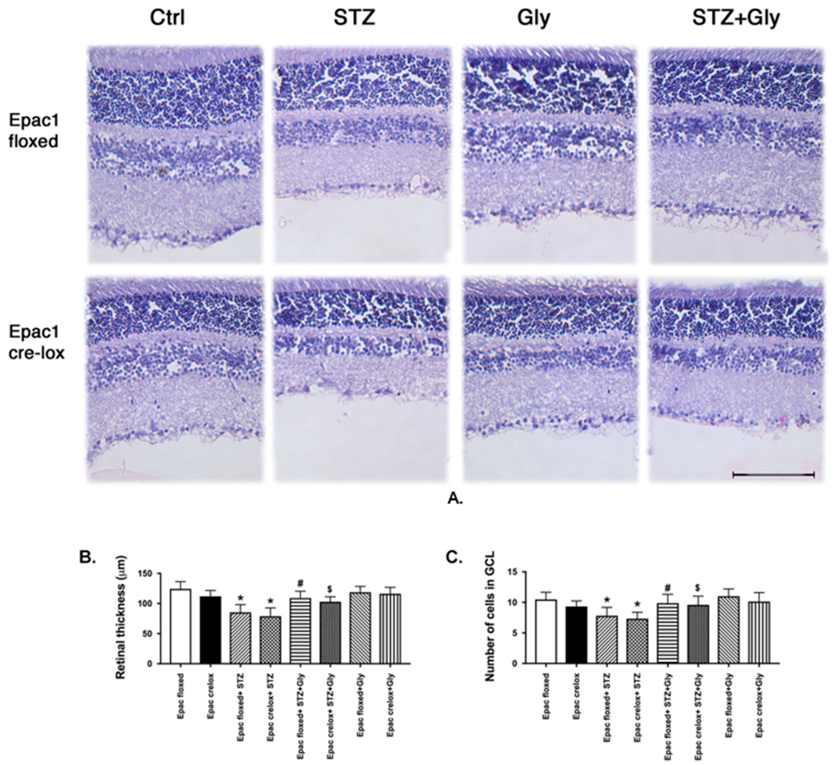 Jcm 08 00772 g002 Jcm 08 00772 g002