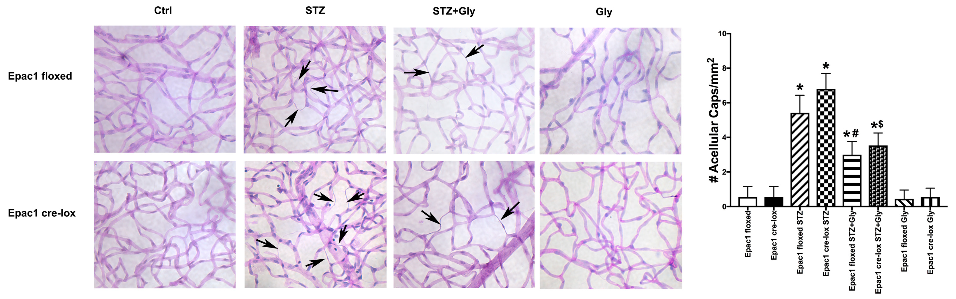 Jcm 08 00772 g003 Jcm 08 00772 g003