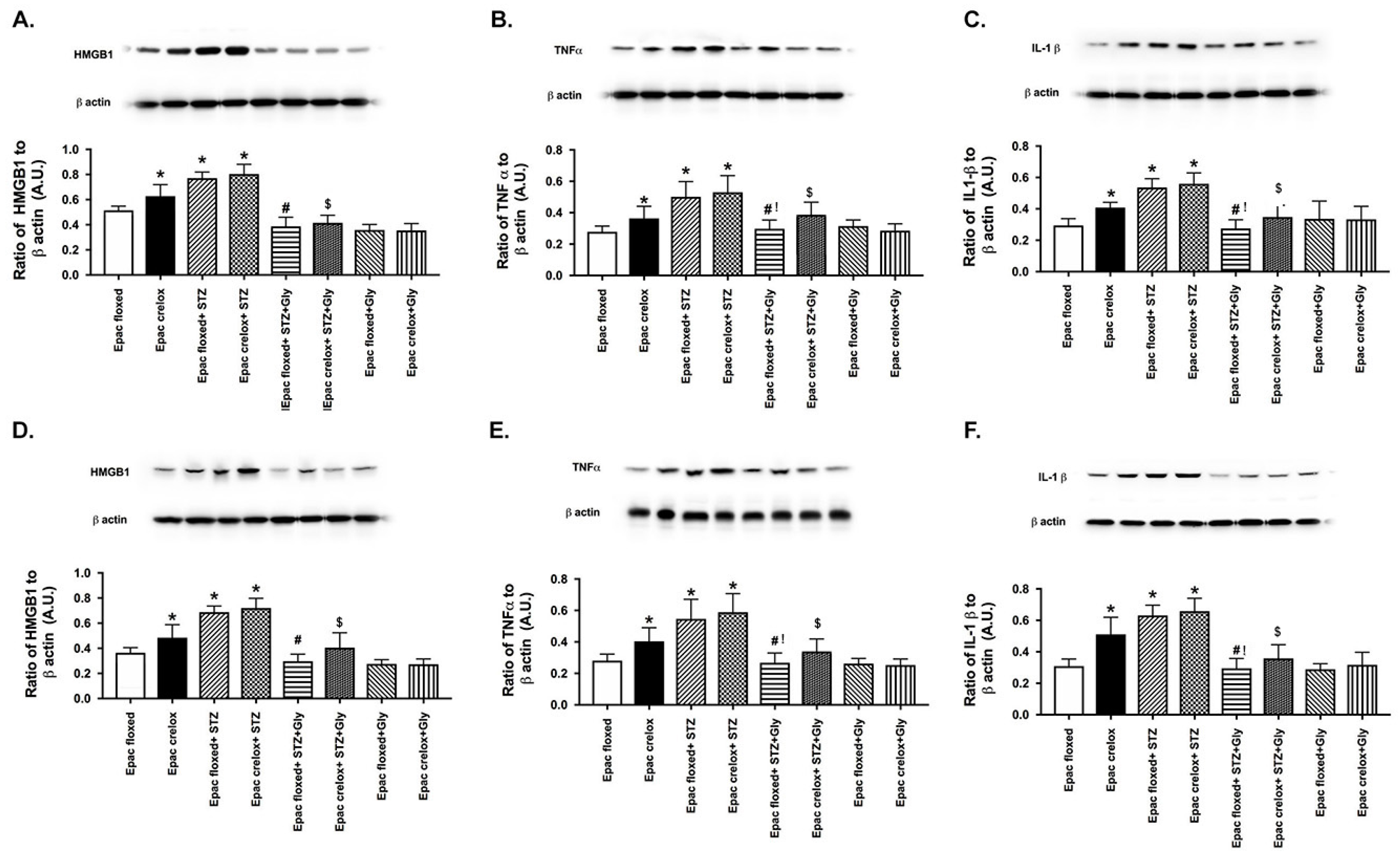 Jcm 08 00772 g005 Jcm 08 00772 g005