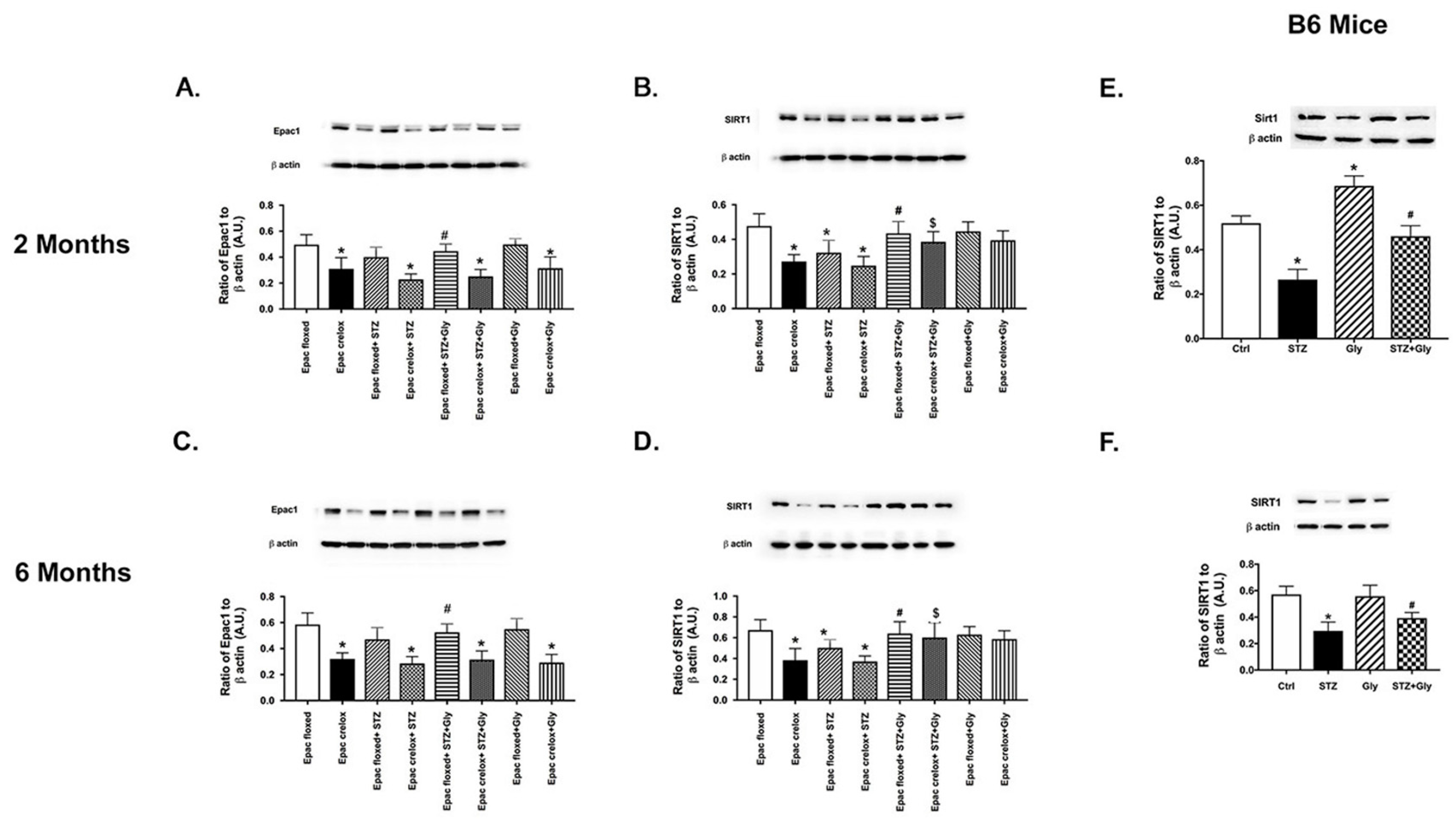 Jcm 08 00772 g006 Jcm 08 00772 g006