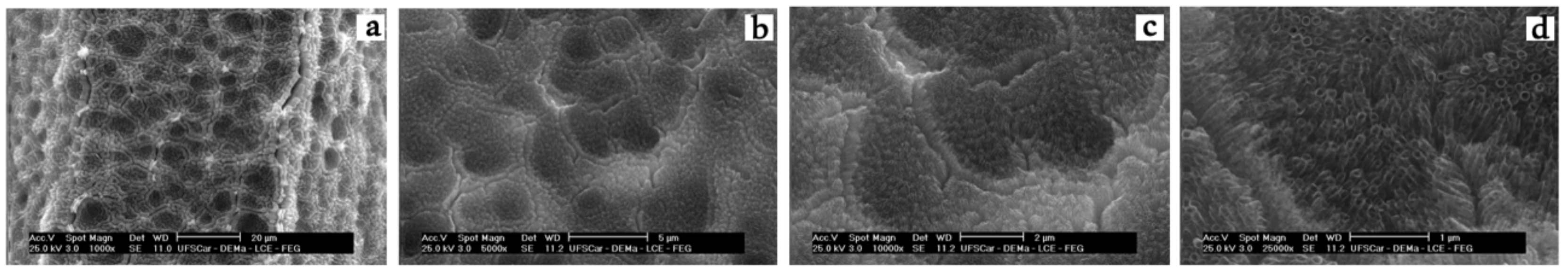 Jcm 08 00954 g003 Jcm 08 00954 g003