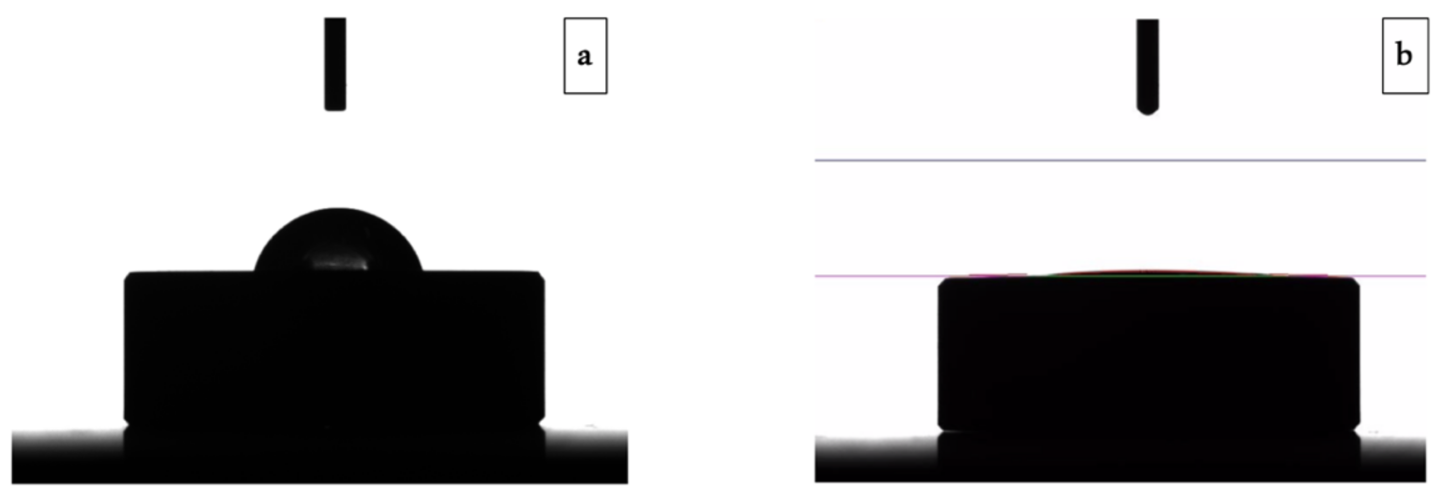 Jcm 08 00954 g005 Jcm 08 00954 g005