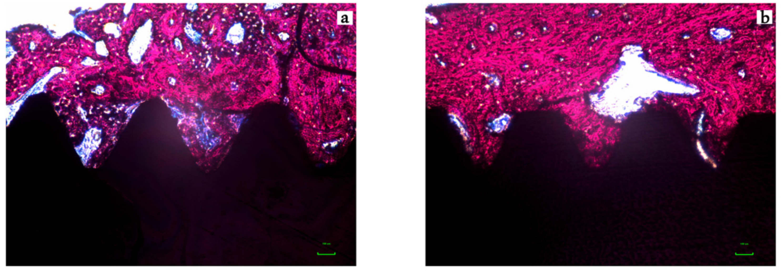 Jcm 08 00954 g006 Jcm 08 00954 g006