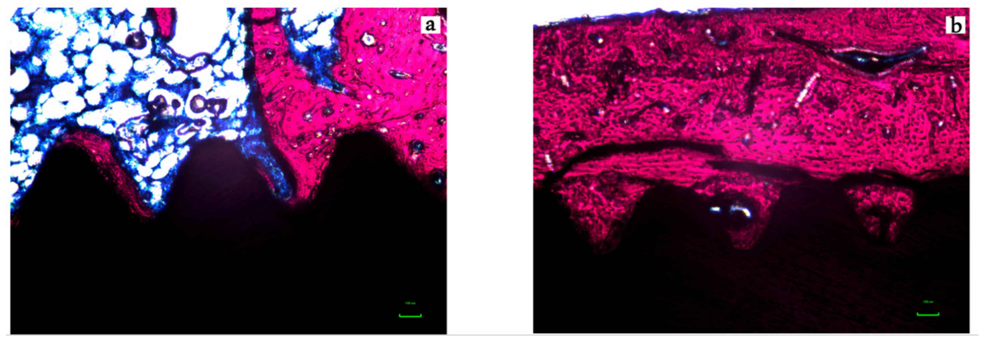 Jcm 08 00954 g007 Jcm 08 00954 g007