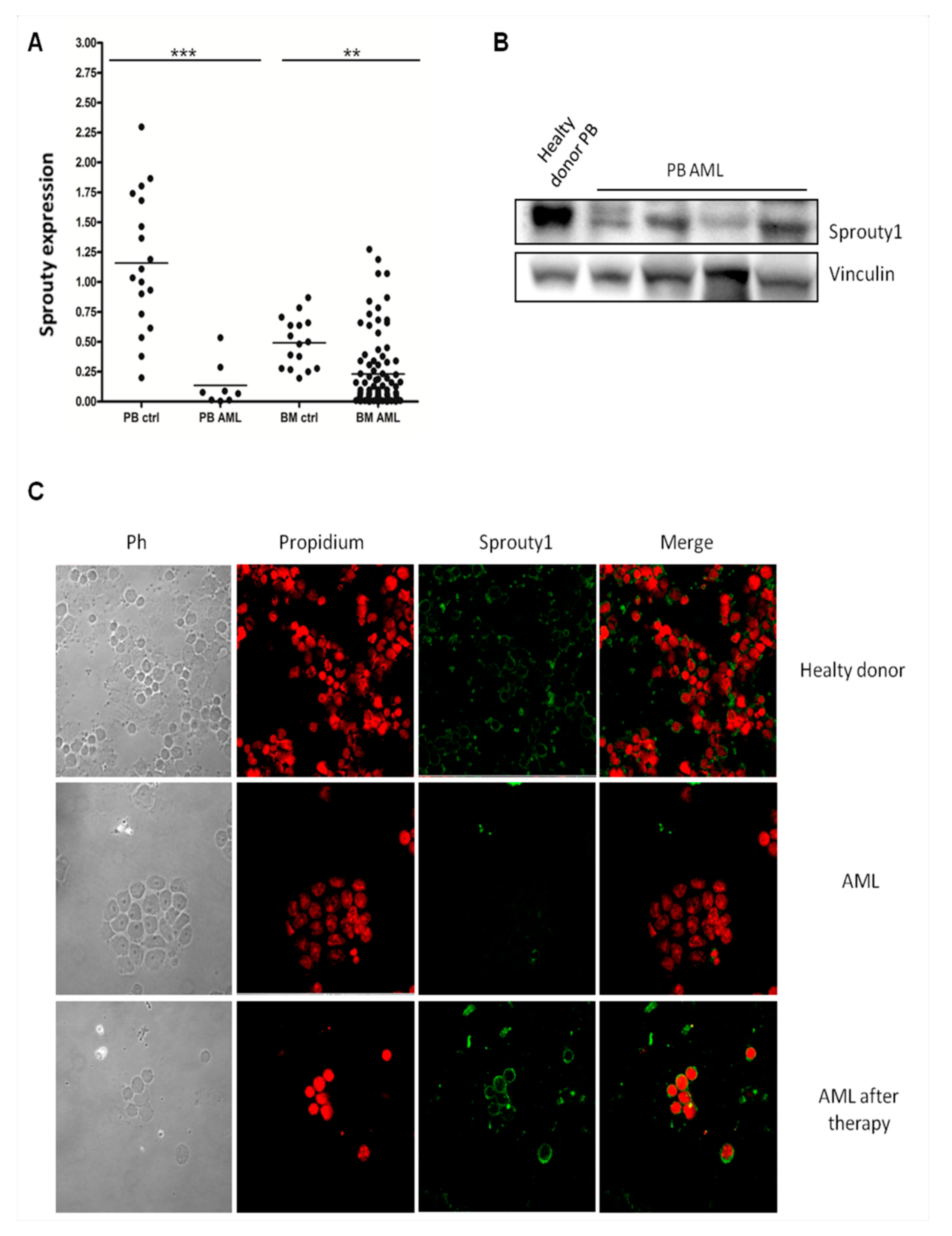 Jcm 08 00972 g001 Jcm 08 00972 g001
