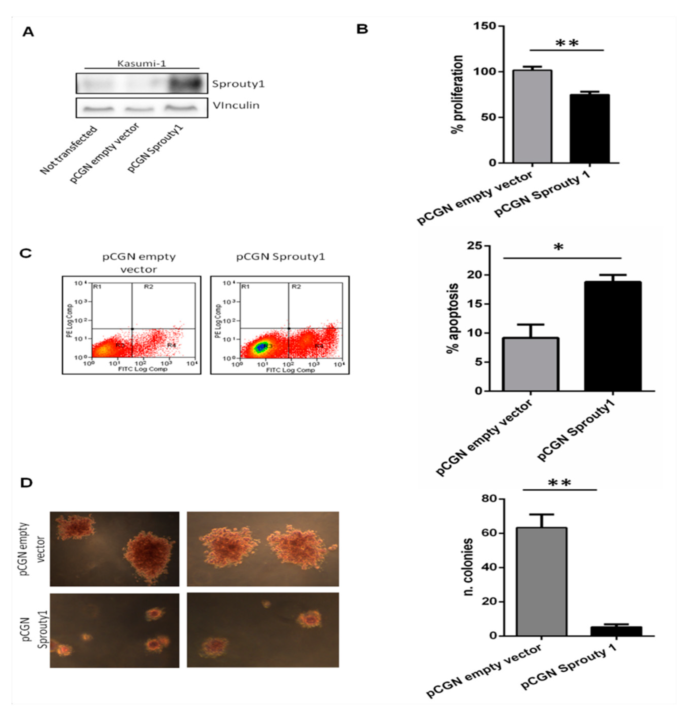 Jcm 08 00972 g002 Jcm 08 00972 g002