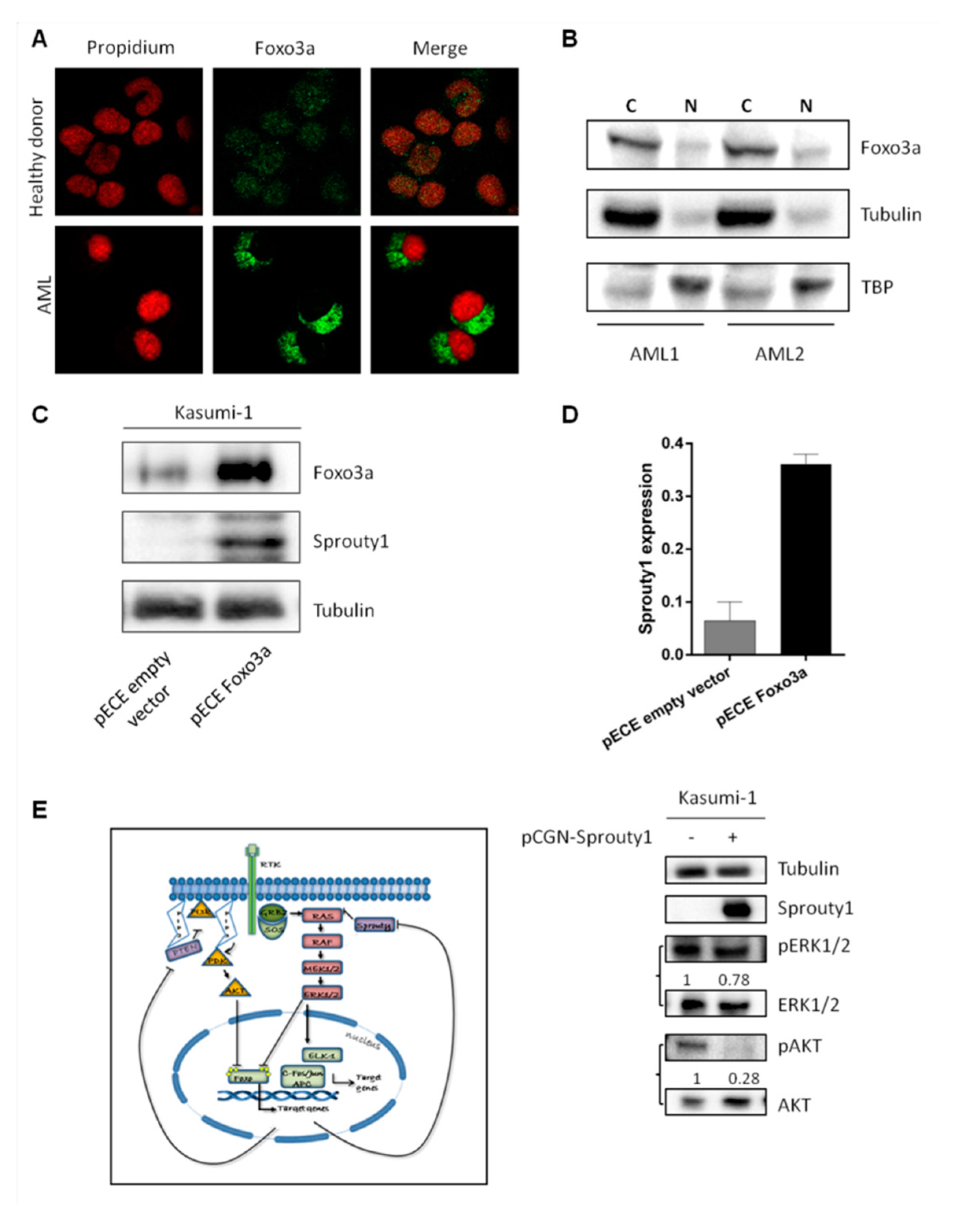 Jcm 08 00972 g003 Jcm 08 00972 g003