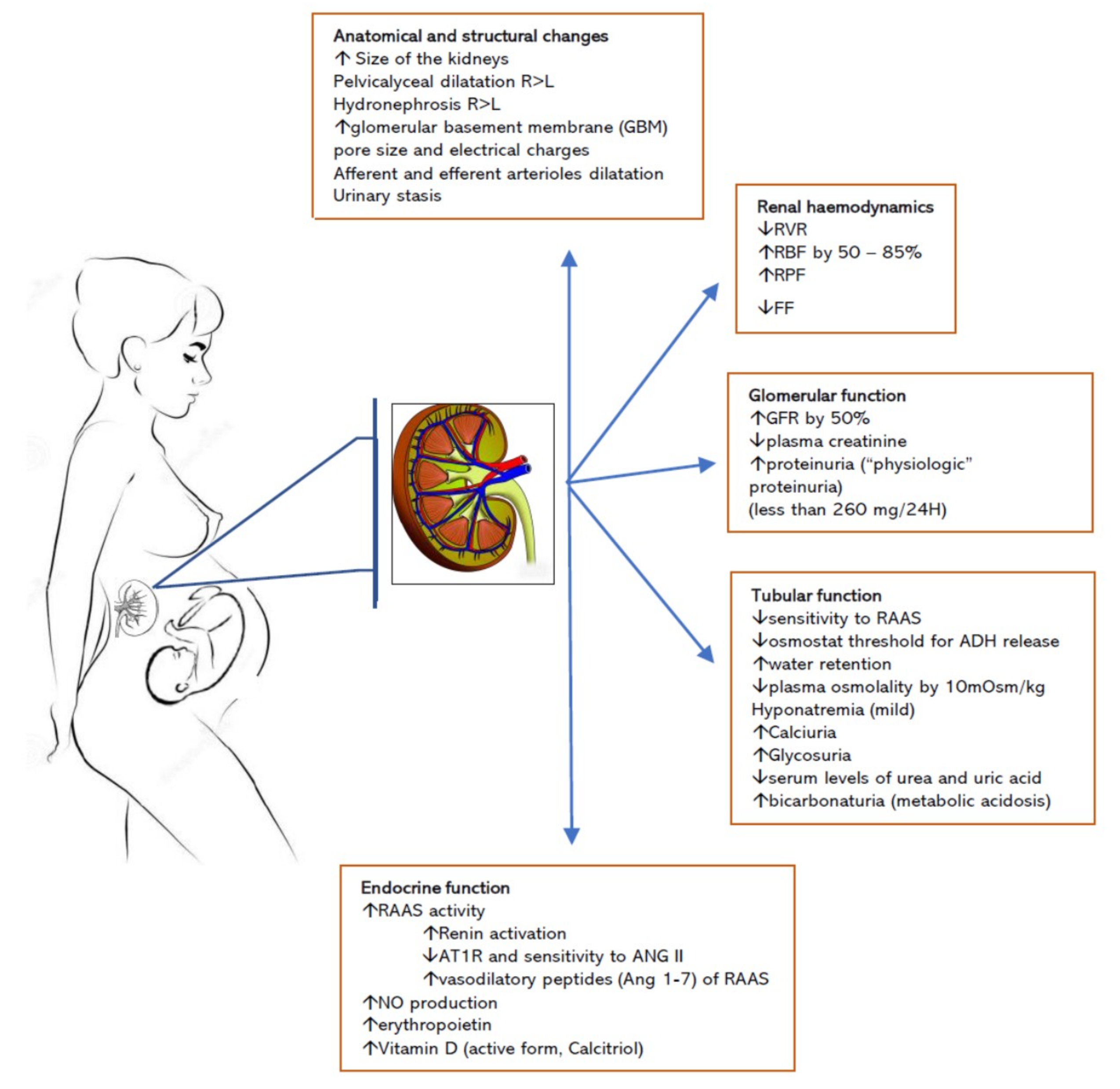 Jcm 08 01396 g001 Jcm 08 01396 g001